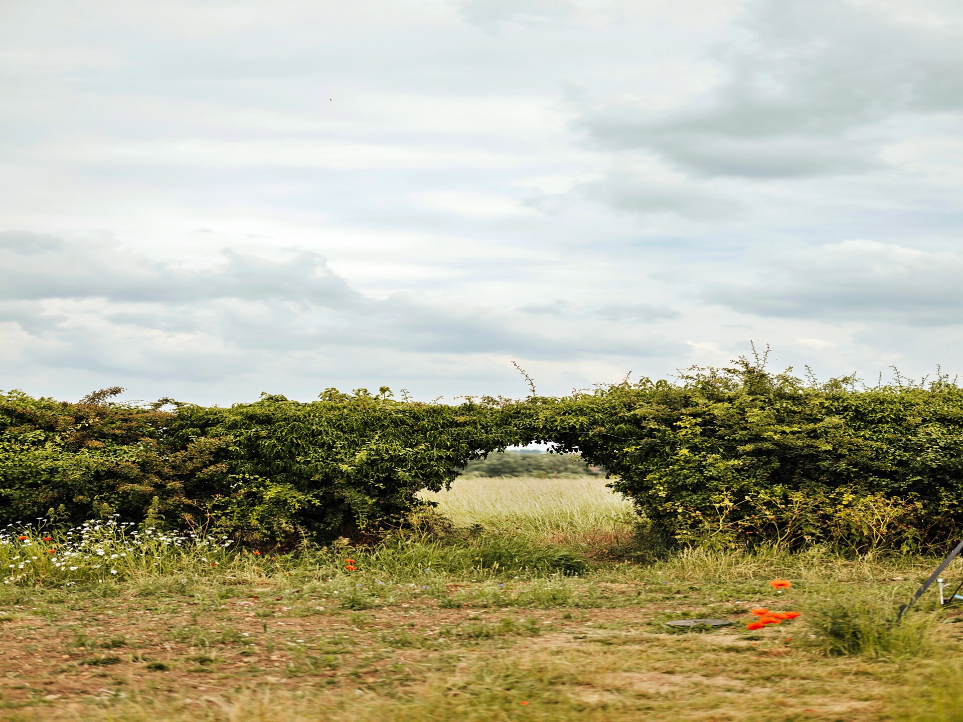 Safaritent voor 6 personen in Stiffkey Valley bij Walsingham - foto 20
