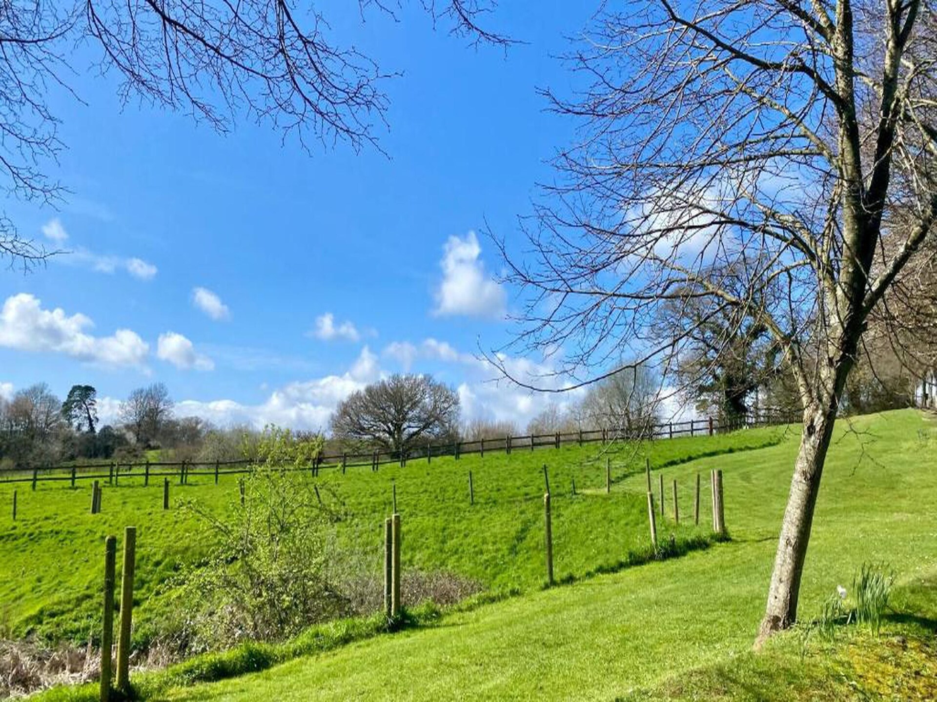 Romantisch eco-huisje met privé hottub aan de rand van Dartmoor - foto 29