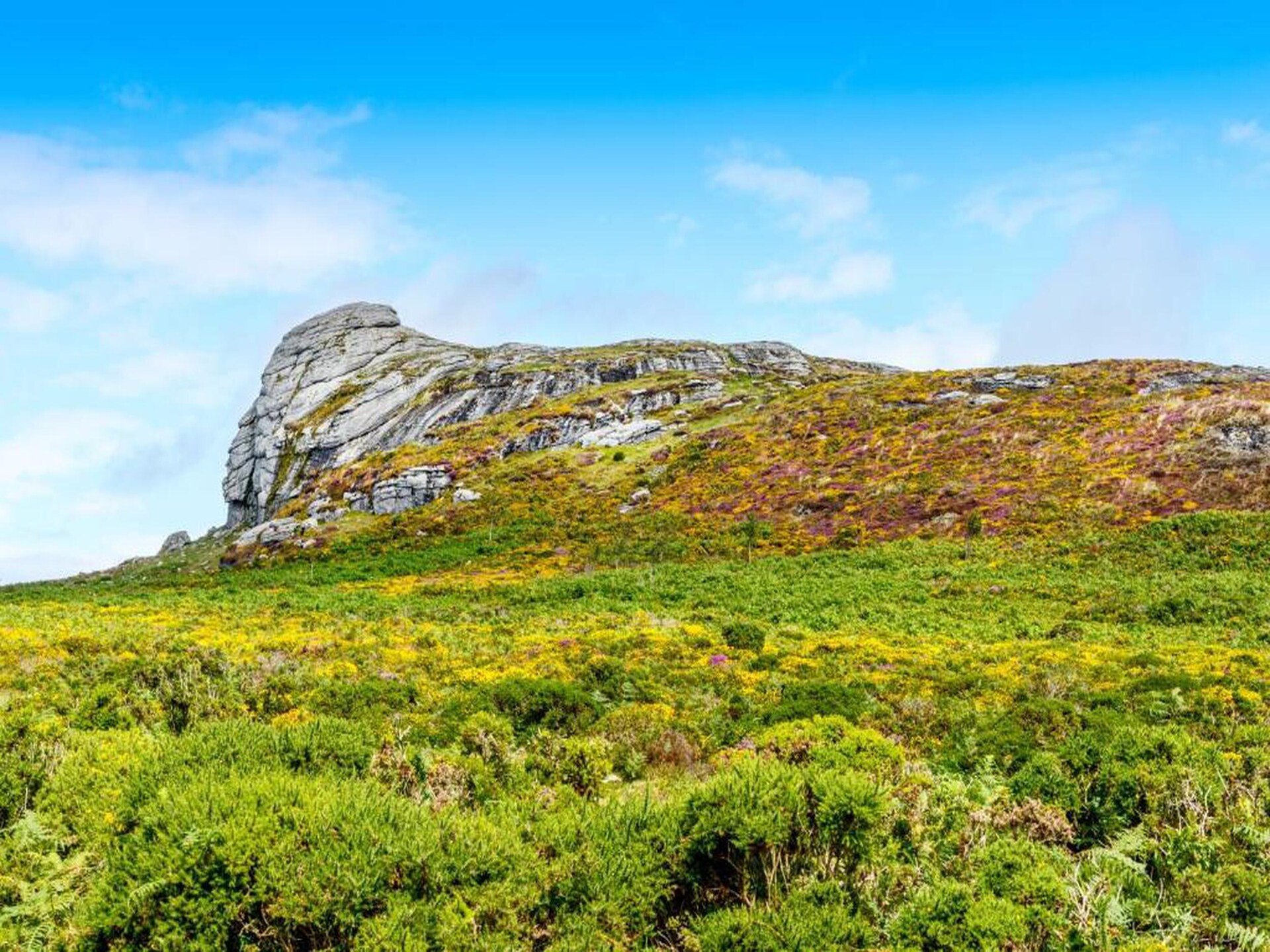 Romantisch eco-huisje met privé hottub aan de rand van Dartmoor - foto 36