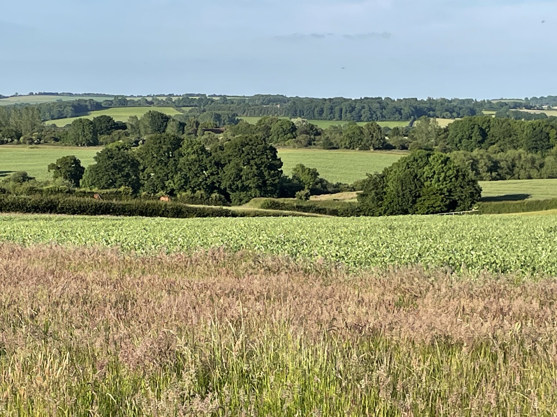 Luxe houtgestookte hot tub hut op het Oxfordshire platteland bij Banbury - foto 15