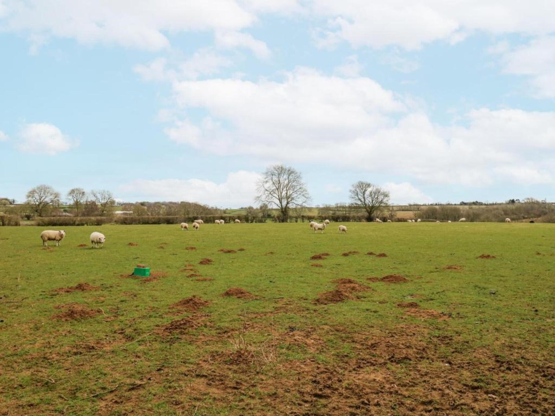 Luxe houtgestookte hot tub hut op het Oxfordshire platteland bij Banbury - foto 33