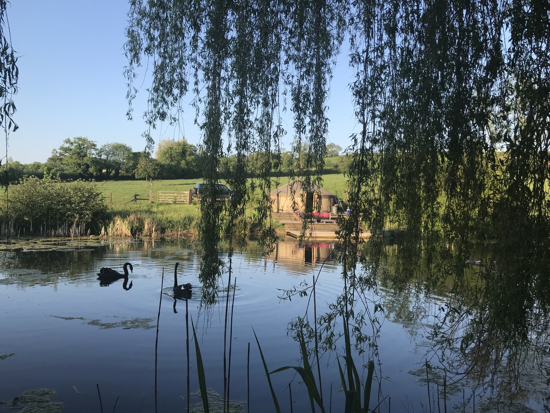 Landelijk vakantiehuis voor 16 personen bij Bruton met privémeren en sauna - foto 61