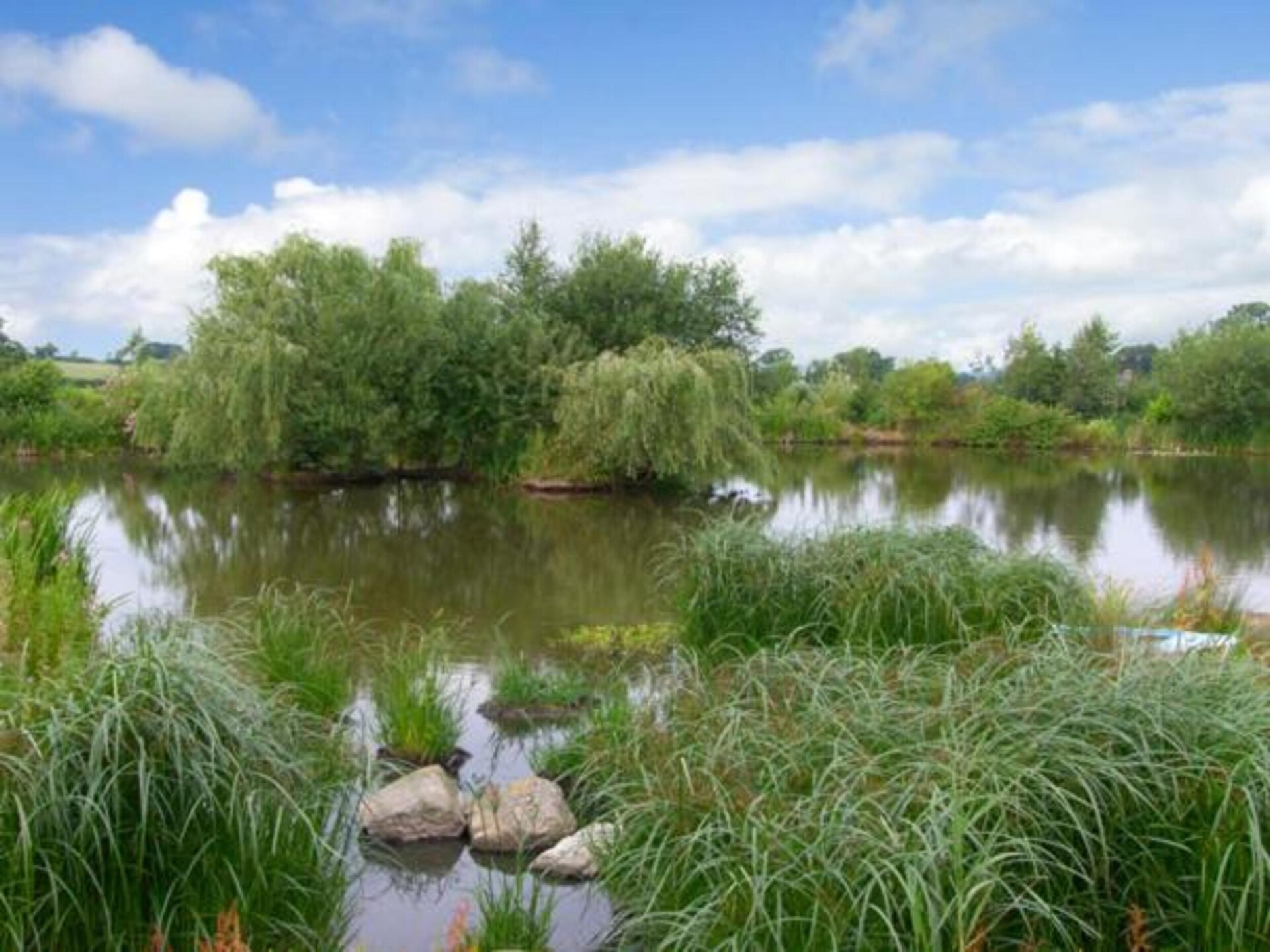 Vrijstaand landhuisje voor 4 op Engels landgoed in Dorrington - foto 30