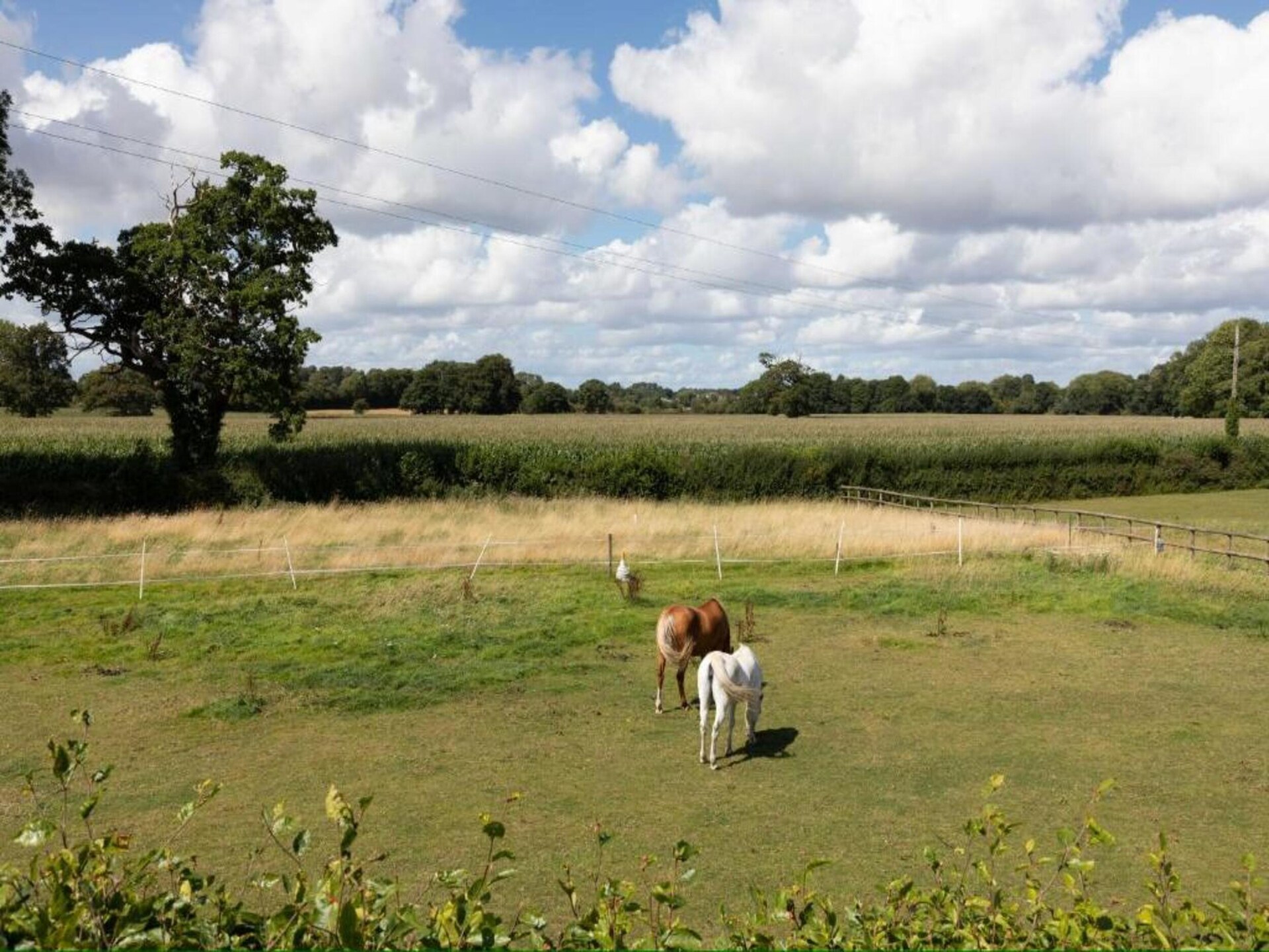 Angelica: Knus vrijstaand landhuis voor 4 op Landgoed Netley Hall - foto 24
