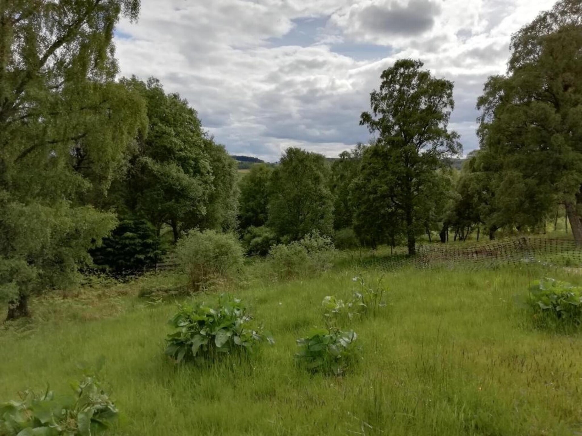 Romantische eikenhouten herdershut in het groene hart van Kent - foto 13