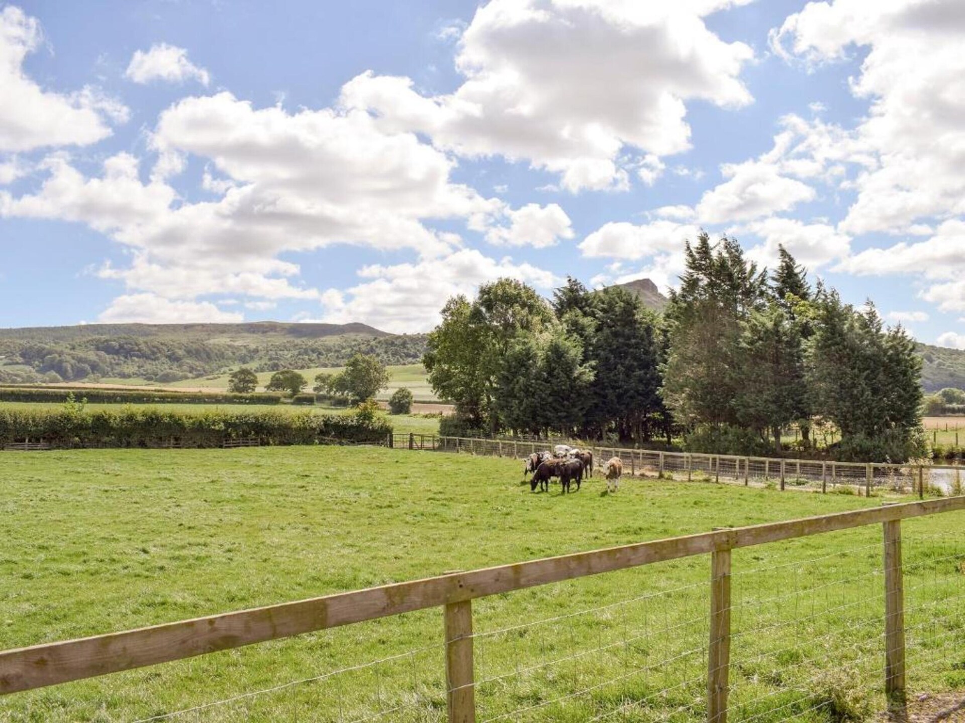 Luxe appartement met uitzicht op de North York Moors - foto 22