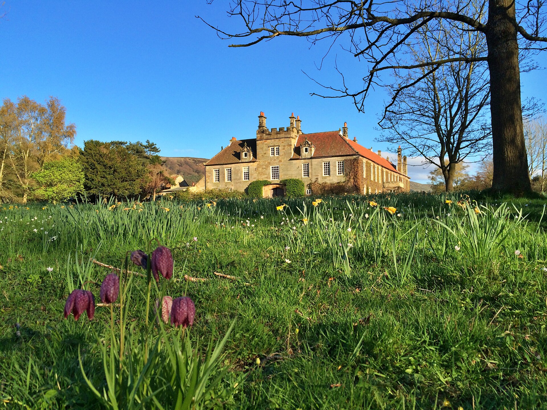 Knus vrijstaand vakantiehuis op het landgoed Ingleby Manor in de North York Moors - foto 16