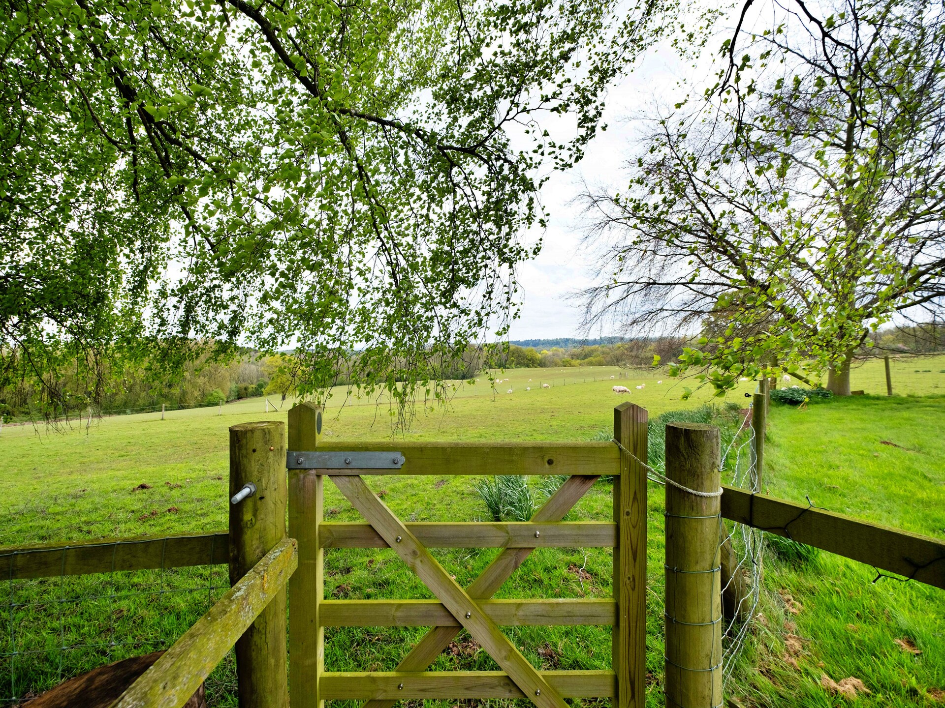 Romantische herdershut in de natuur bij Bridgnorth - foto 20