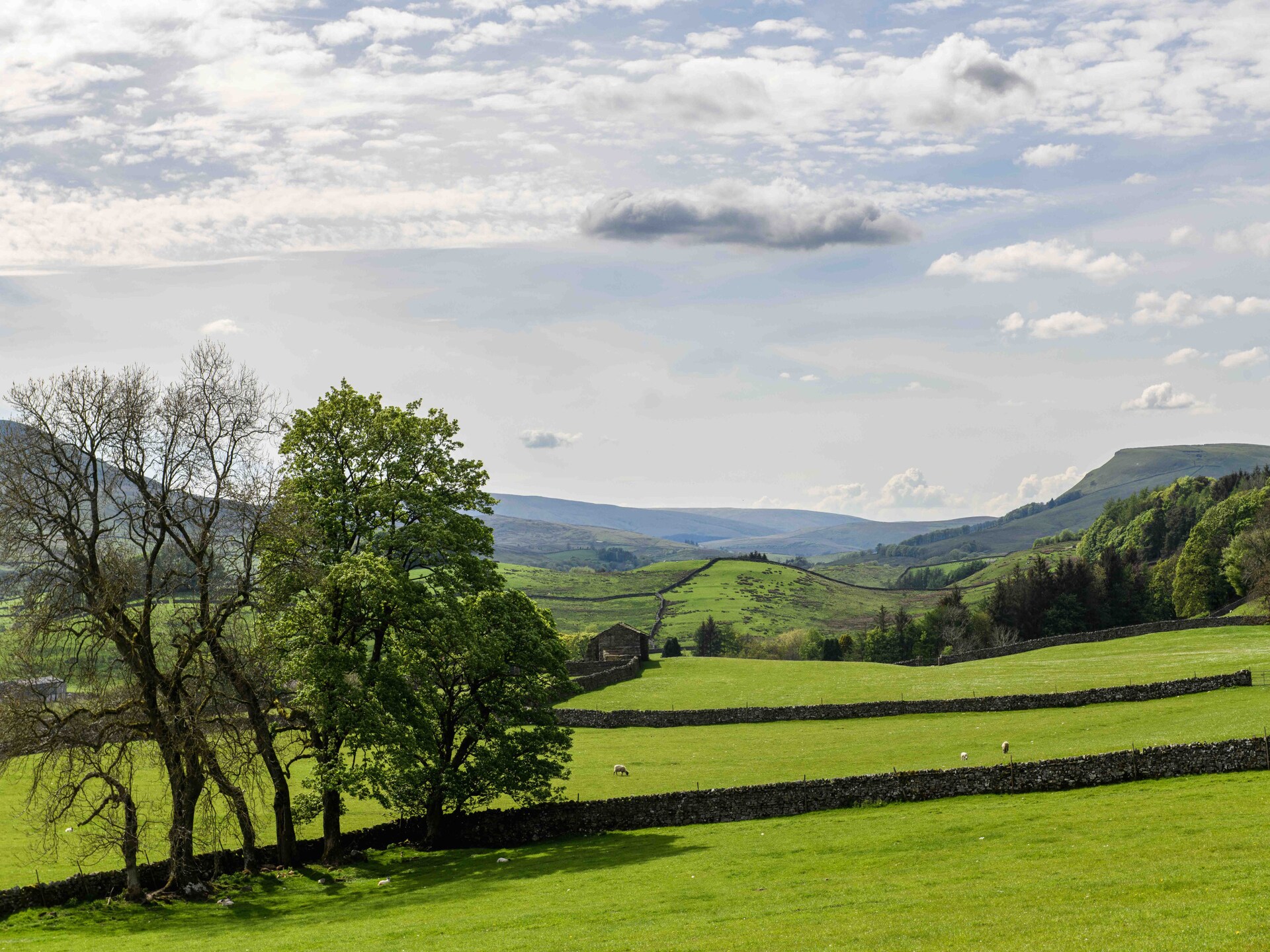 17e-eeuws Dales Stone Cottage met houtkachel in Hawes – 6 personen - foto 25