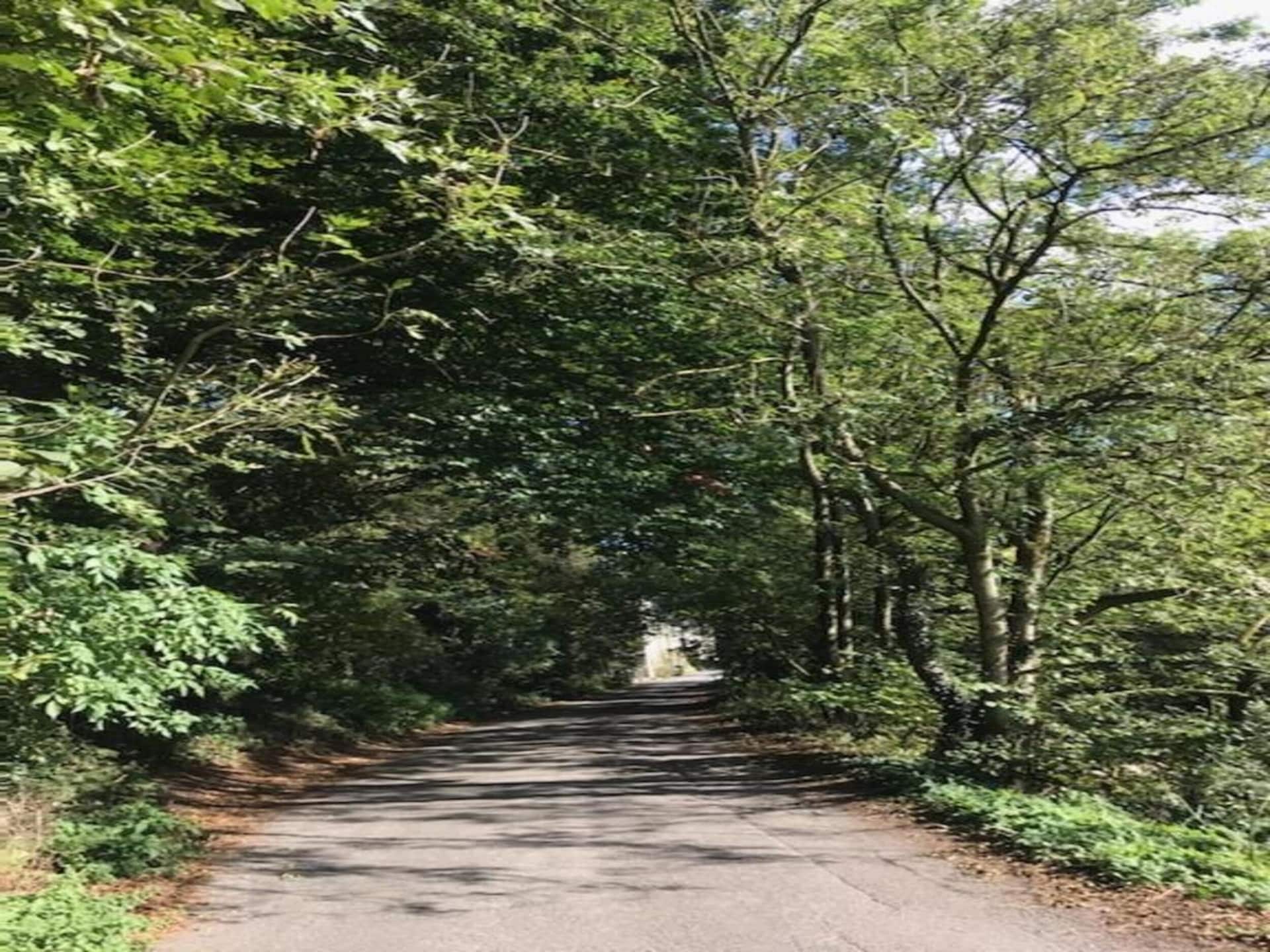 Sfeervol landhuis End Barn in Buxton voor 2 personen - foto 35