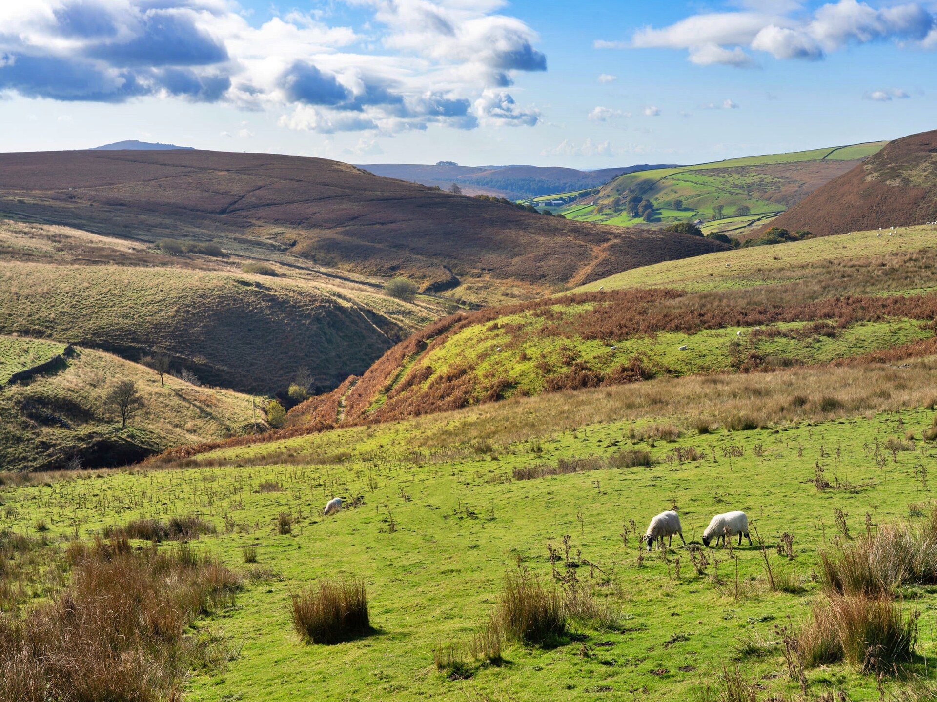 Drie sfeervolle vakantiehuizen samen in het Peak District voor 12 personen - foto 24