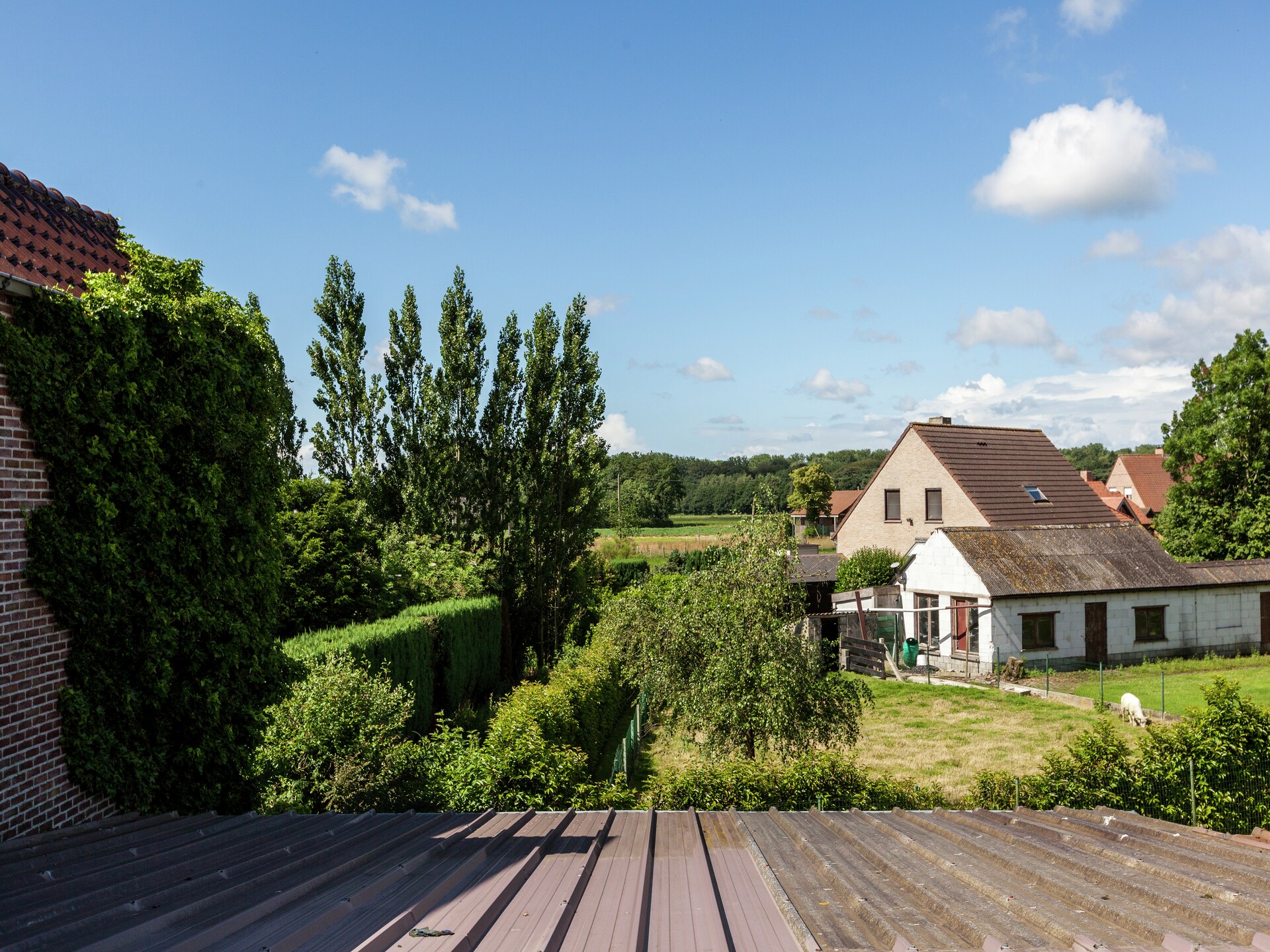 Landhuis De Snoeibijl in Kruiskerke: 14-persoons bosvilla met serre - foto 20