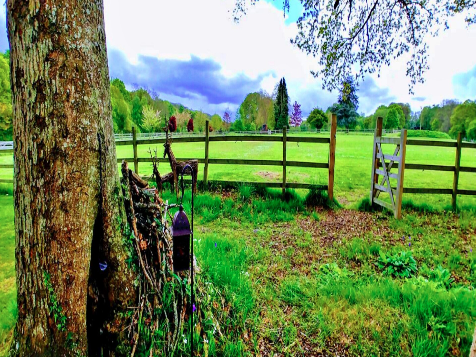 Romantische Shepherd's Hut voor 4 op Hilltop Farm bij Romsey en New Forest - foto 23