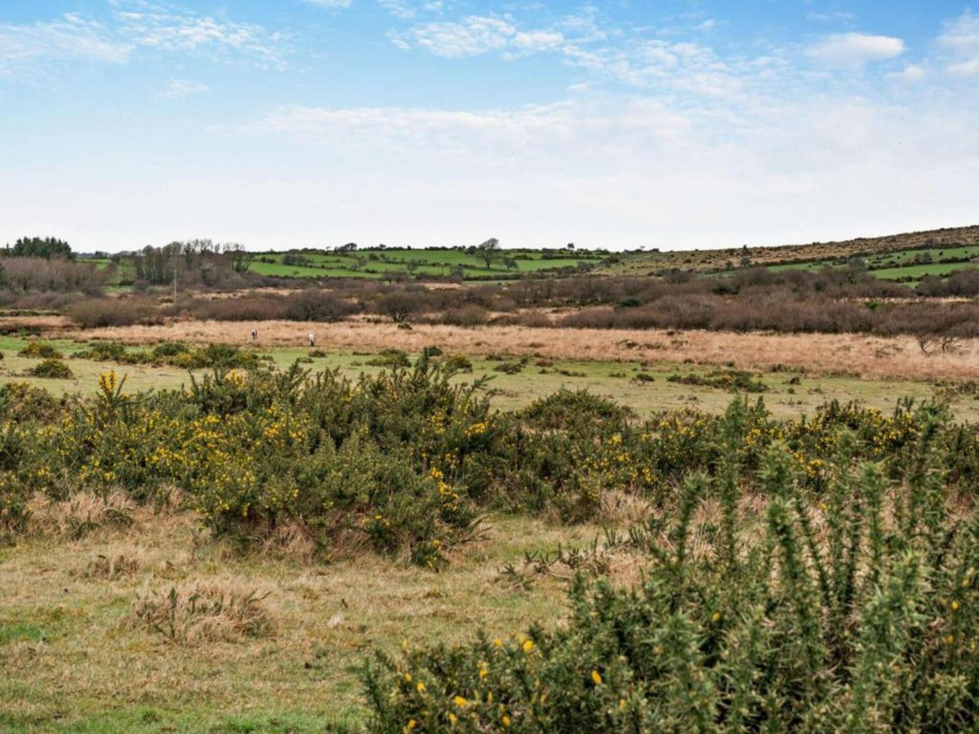 Authentiek landhuis aan de rand van Bodmin Moor – 3 slaapkamers - foto 36
