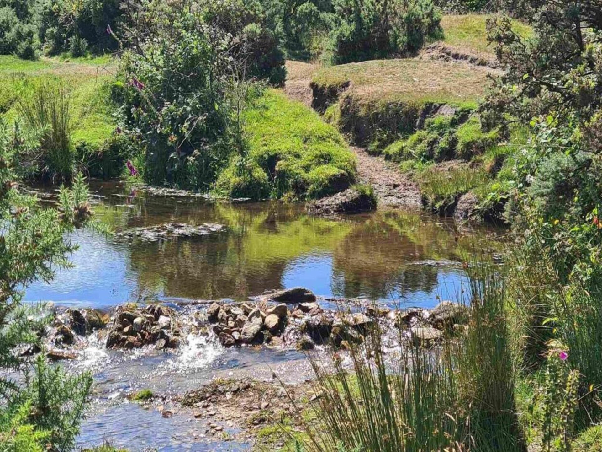 Authentiek landhuis aan de rand van Bodmin Moor – 3 slaapkamers - foto 17