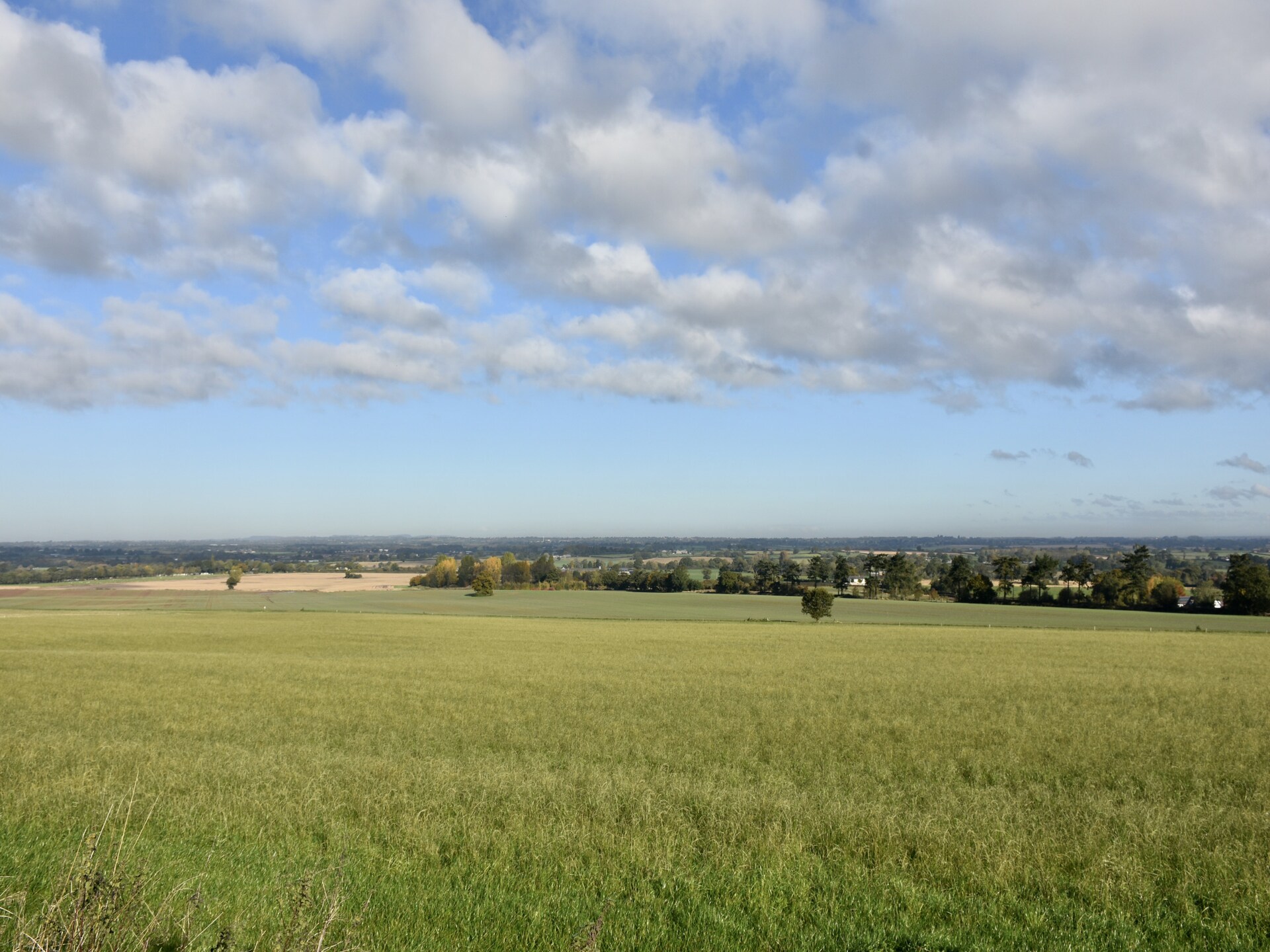 Toegankelijk landhuis op het platteland van Shropshire met houtkachel - foto 16