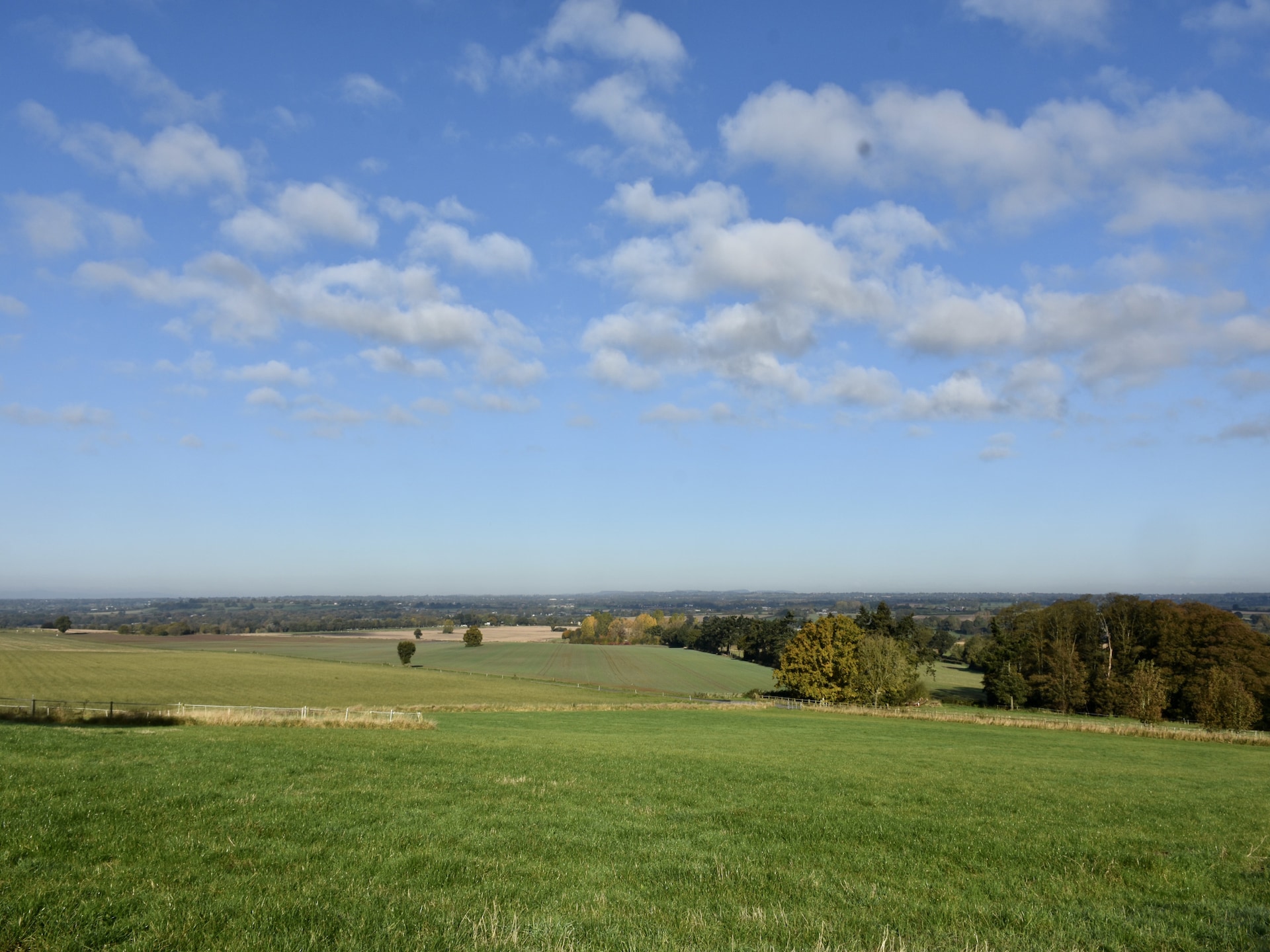 Toegankelijk landhuis op het platteland van Shropshire met houtkachel - foto 18