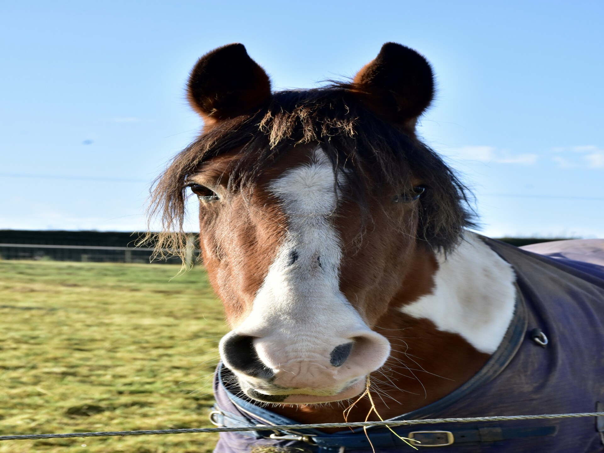 Toegankelijk landhuis op het platteland van Shropshire met houtkachel - foto 20
