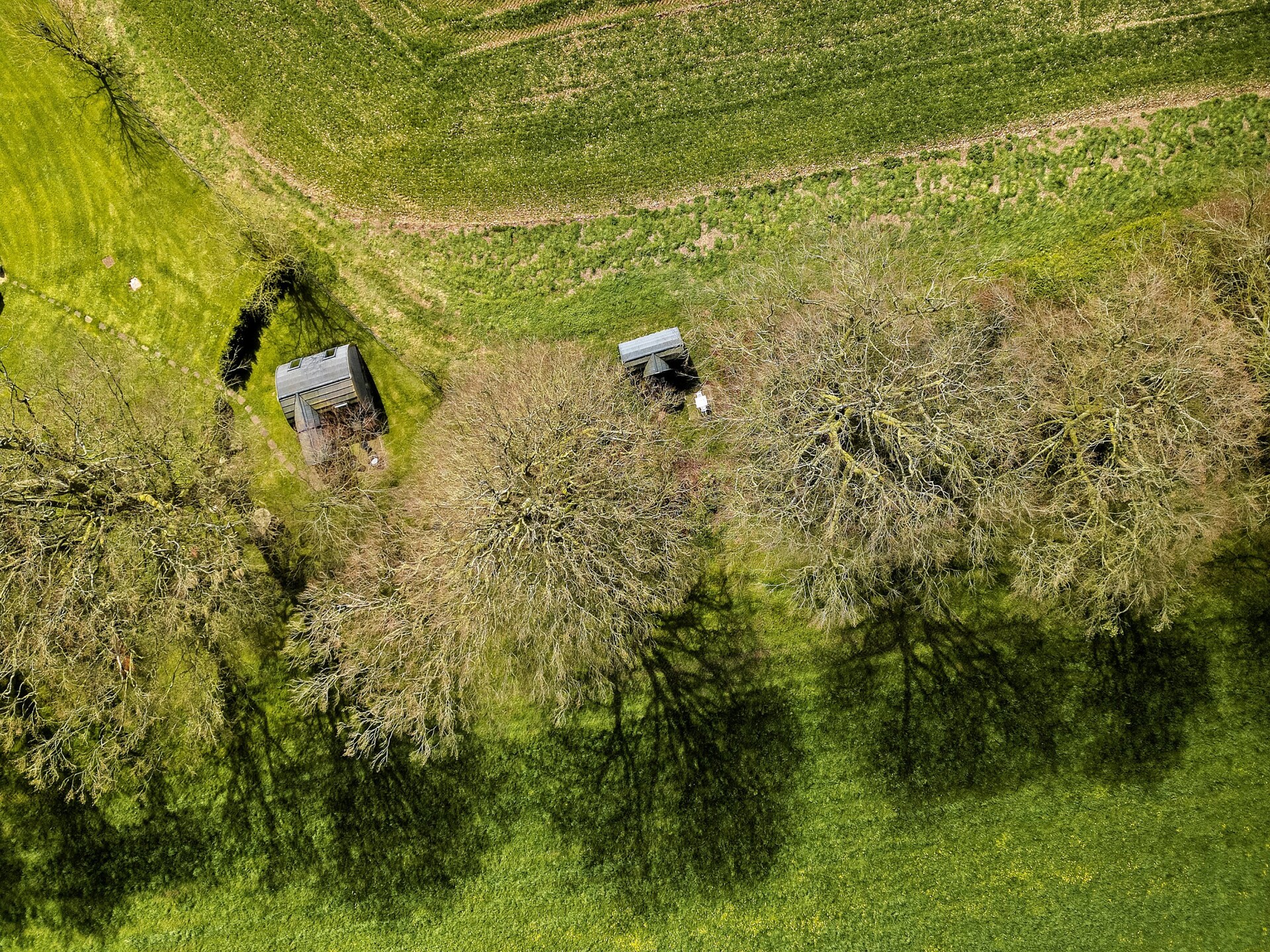 Glamping pods in Camerton: uniek verblijf met uitzicht op de vallei - foto 27
