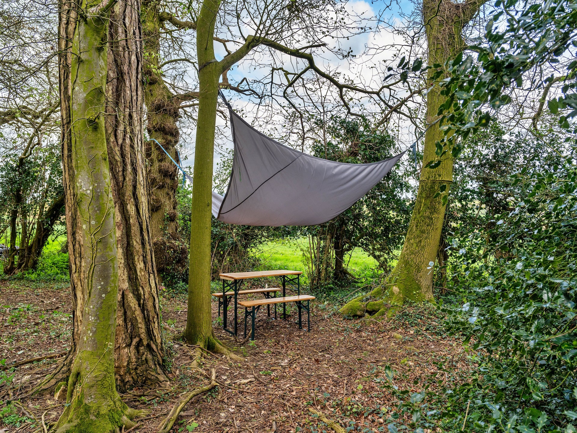 Glamping pods in Camerton: uniek verblijf met uitzicht op de vallei - foto 31