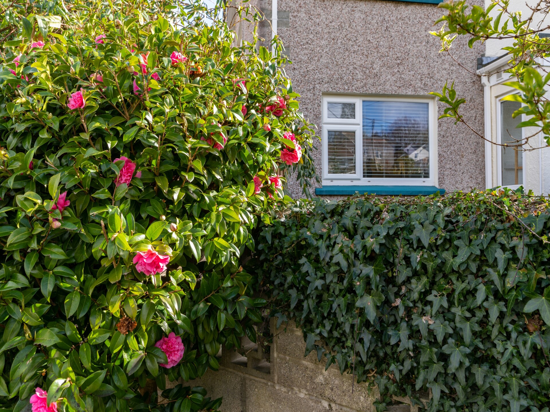 Knusse begane grond woning in Polgooth, vlakbij strand en South West Coast Path - foto 27
