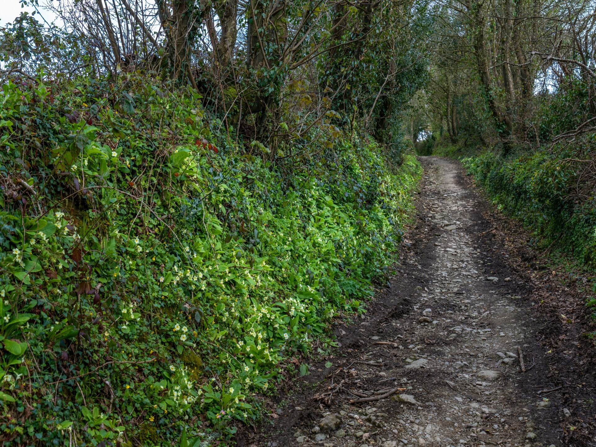 Knusse begane grond woning in Polgooth, vlakbij strand en South West Coast Path - foto 34