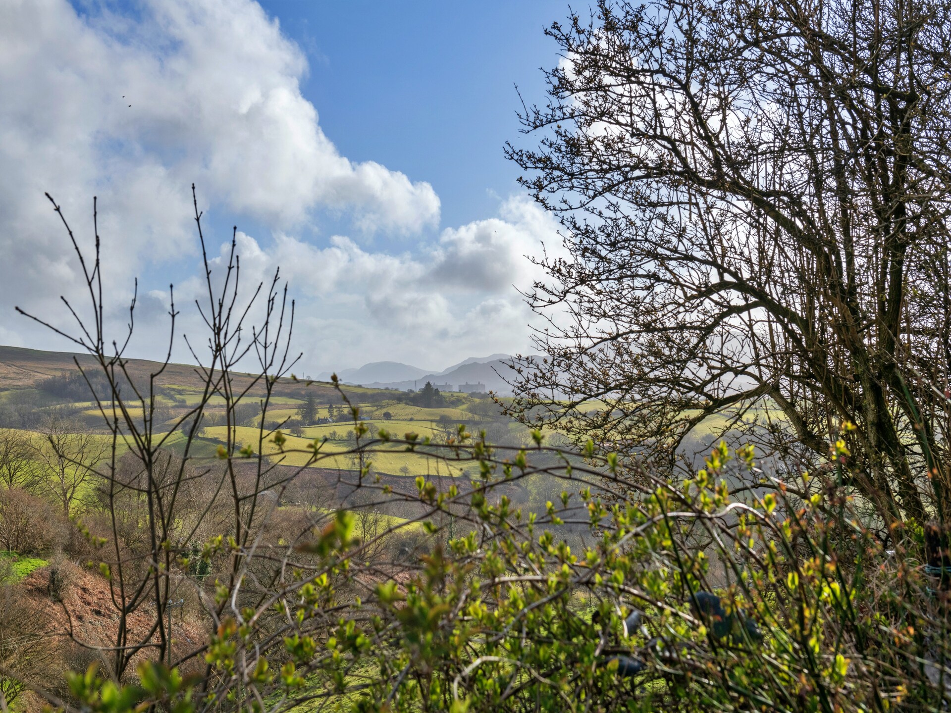 Knus landhuis met bergzicht in Snowdonia – 4 personen - foto 29