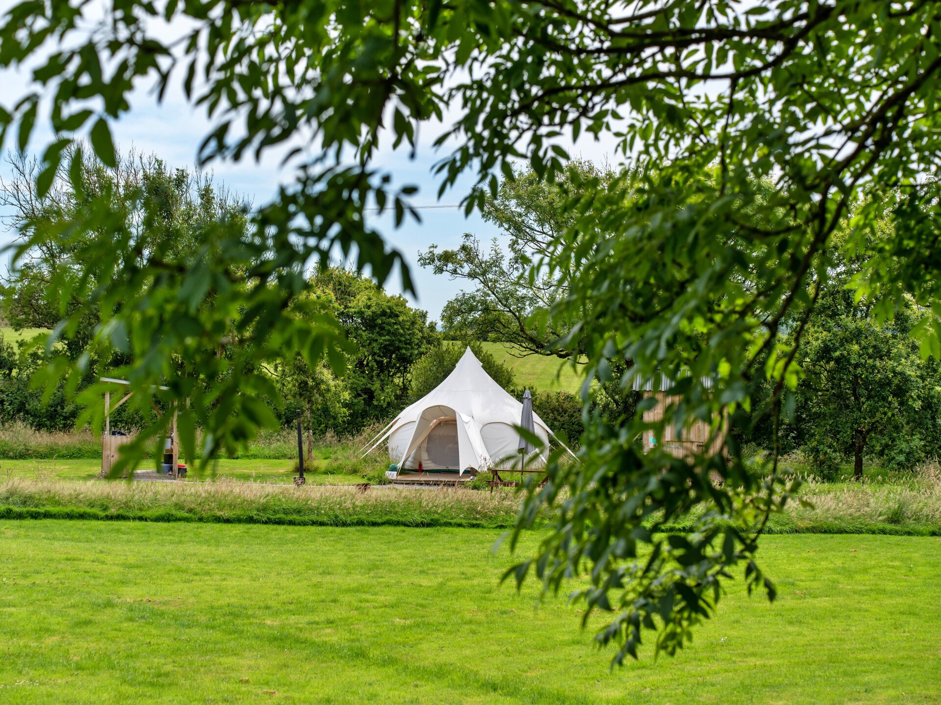 Unieke glamping in Oak Lotus Belle Tent op melkveebedrijf bij Ilfracombe - foto 2