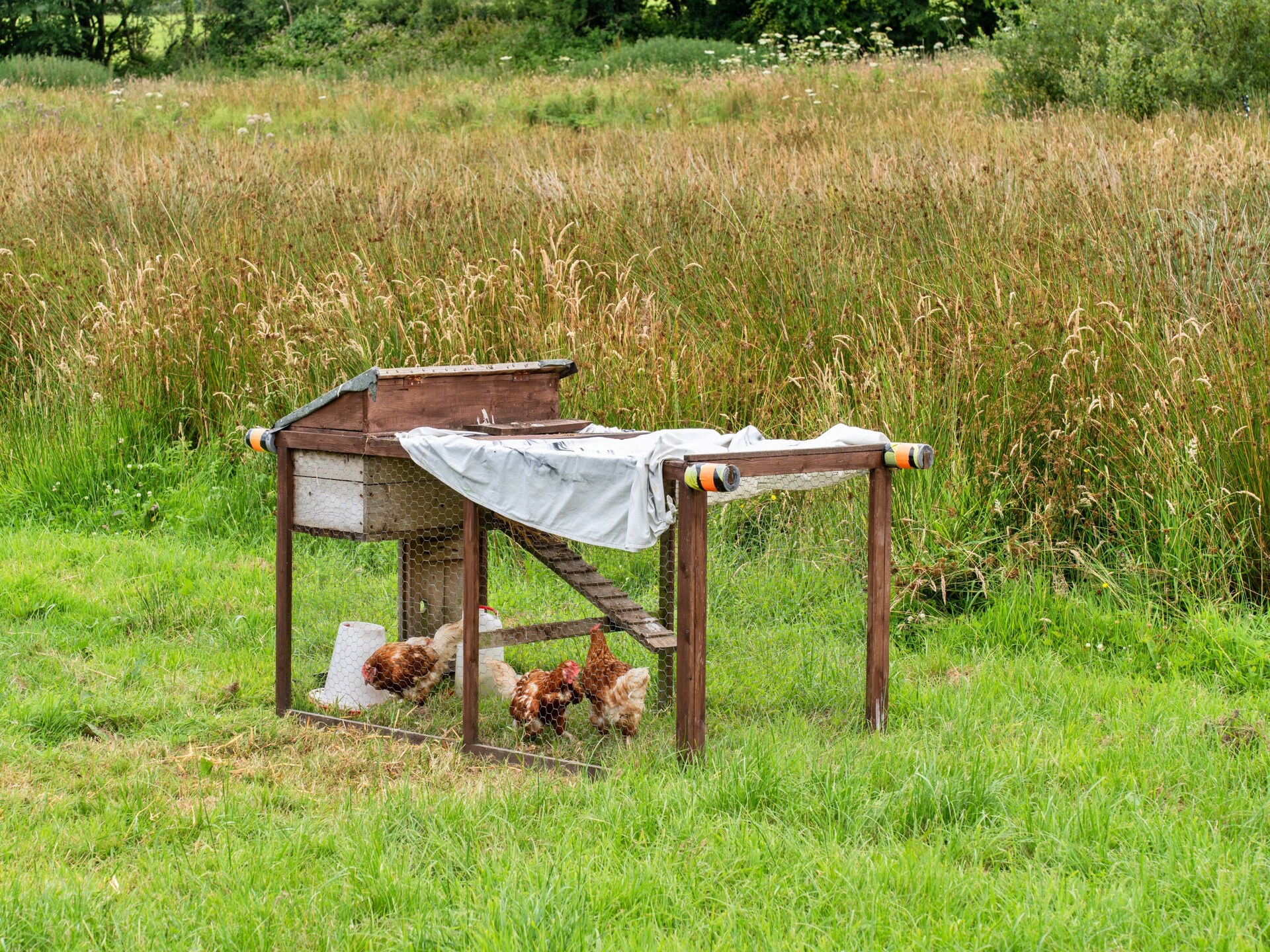 Unieke glamping in Oak Lotus Belle Tent op melkveebedrijf bij Ilfracombe - foto 8