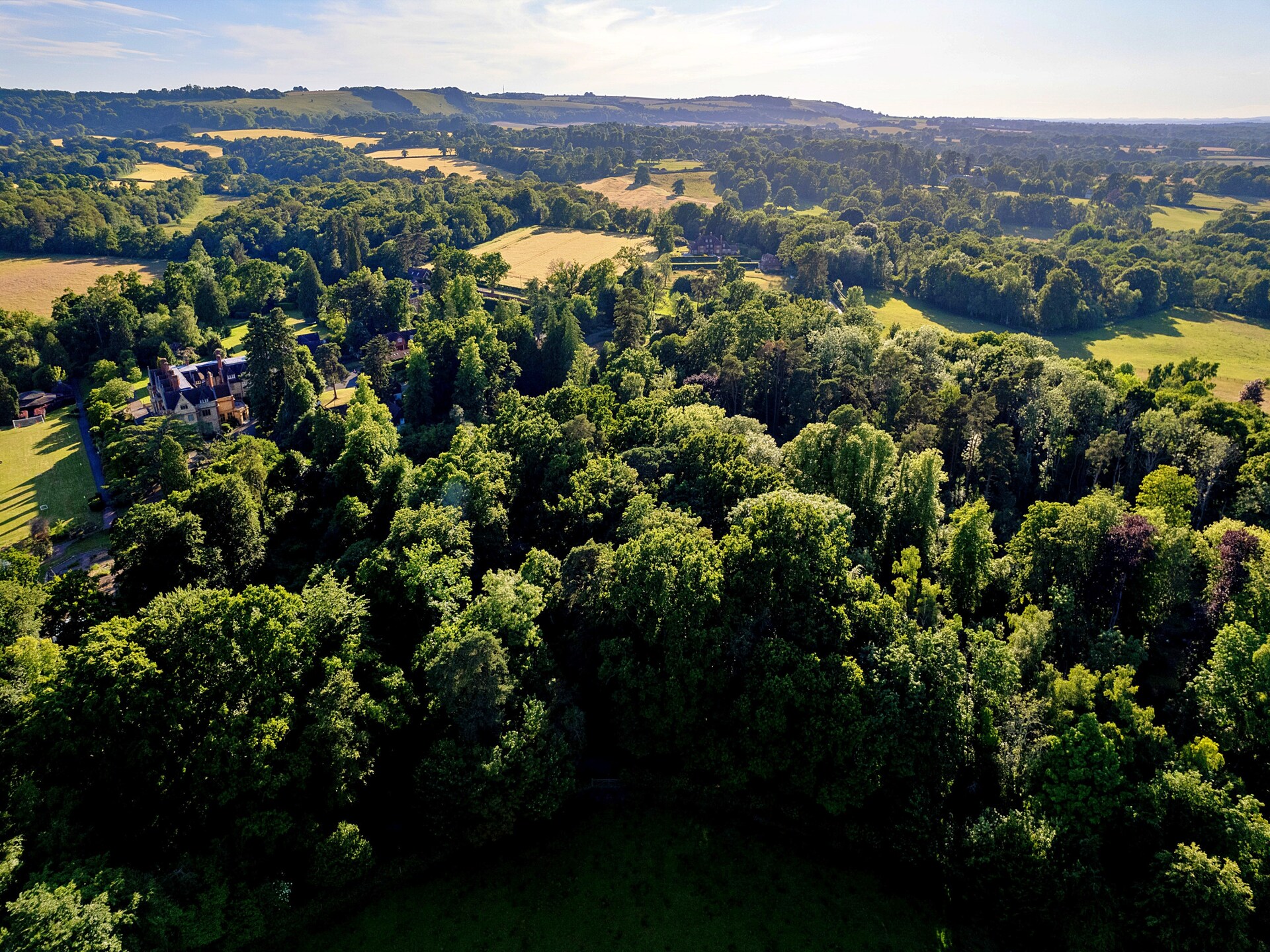 Daisy Glamping Pod: knusse bosretraite voor 4 op privélandgoed bij Newbury - foto 16