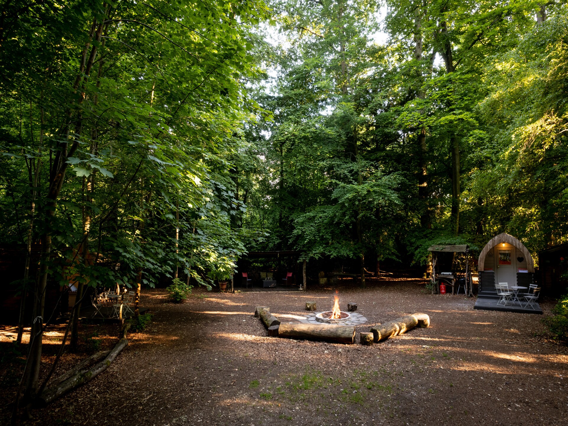 Glamping in eeuwenoud bos: Bluebelle Pod bij Newbury - foto 21