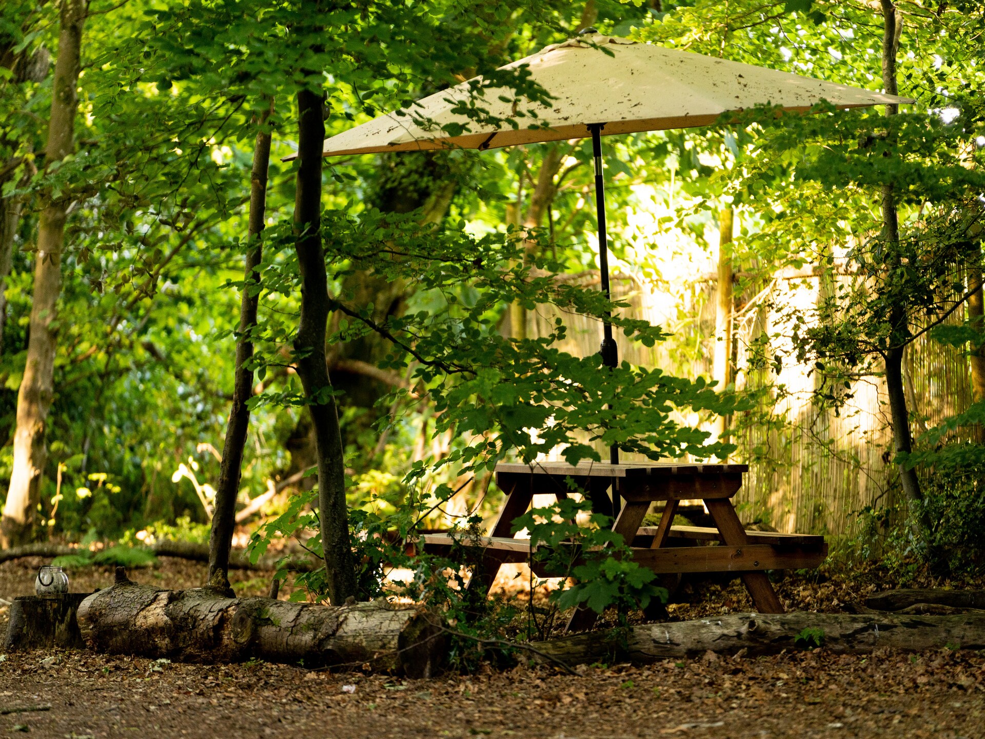 Glamping in eeuwenoud bos: Bluebelle Pod bij Newbury - foto 6