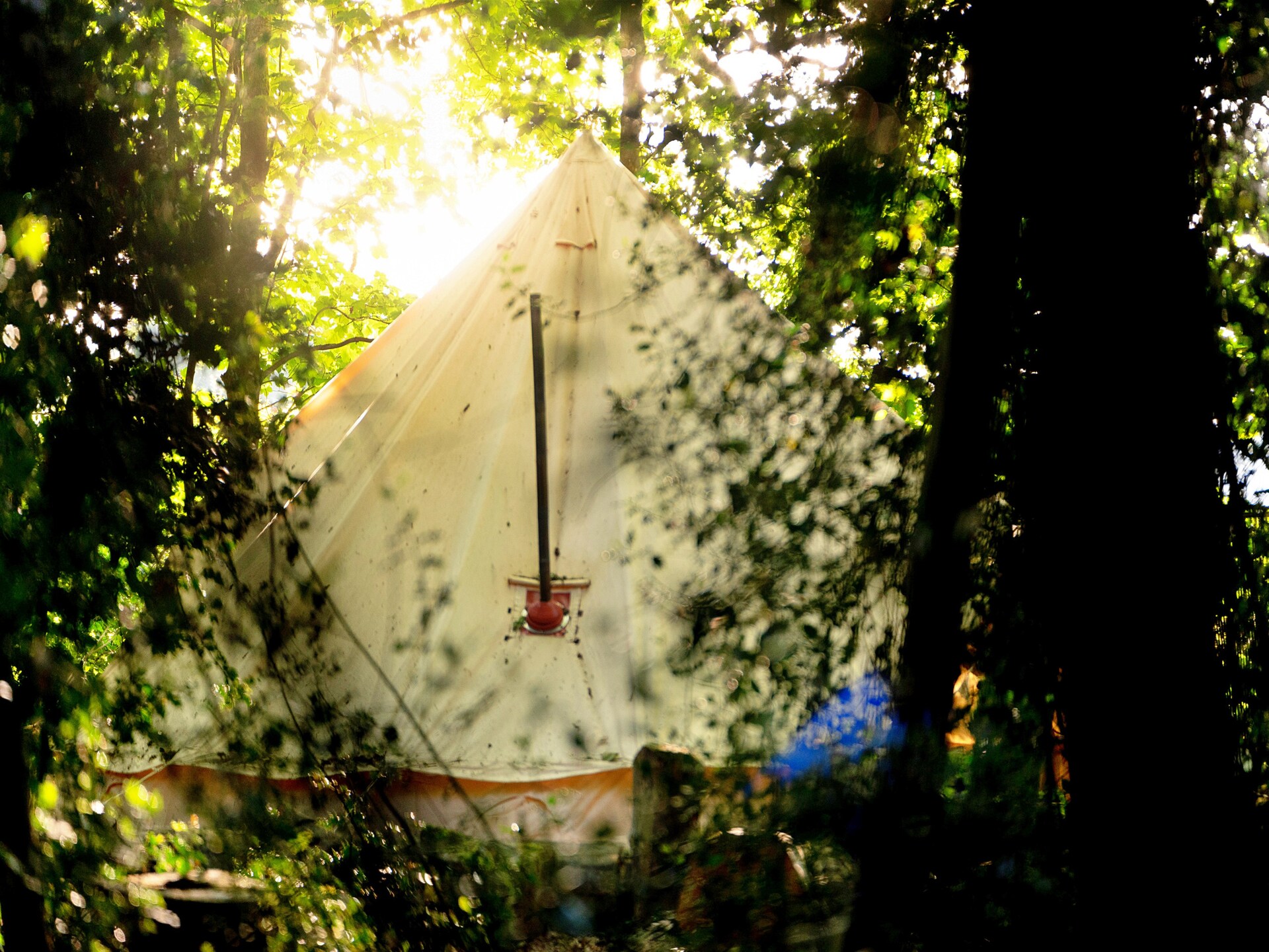 Magische Bell Tent in privébos bij Newbury – 6 personen - foto 25