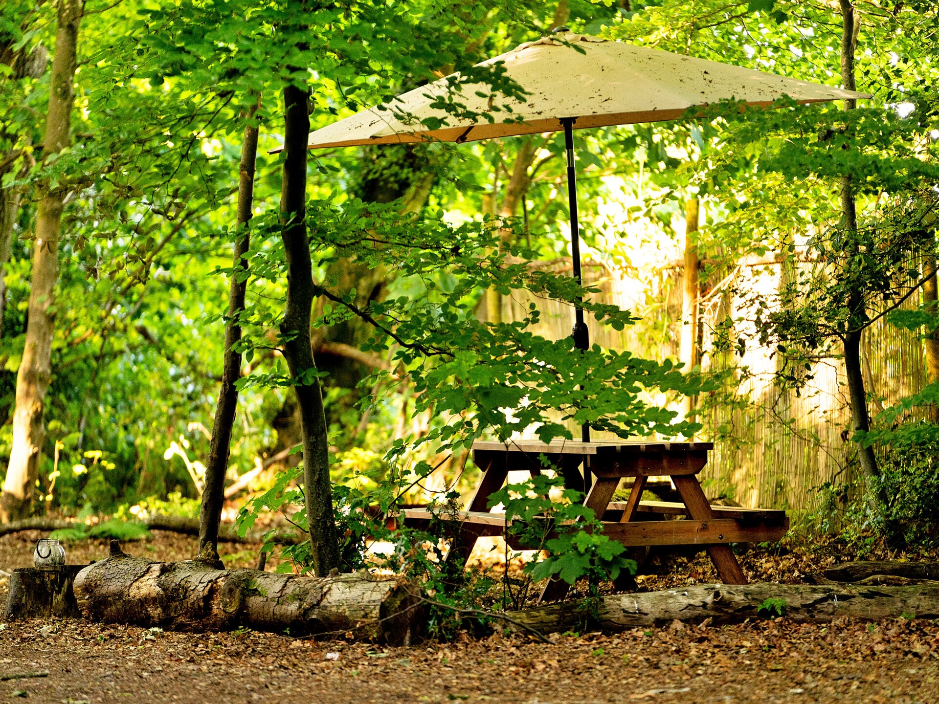 Magische Bell Tent in privébos bij Newbury – 6 personen - foto 12