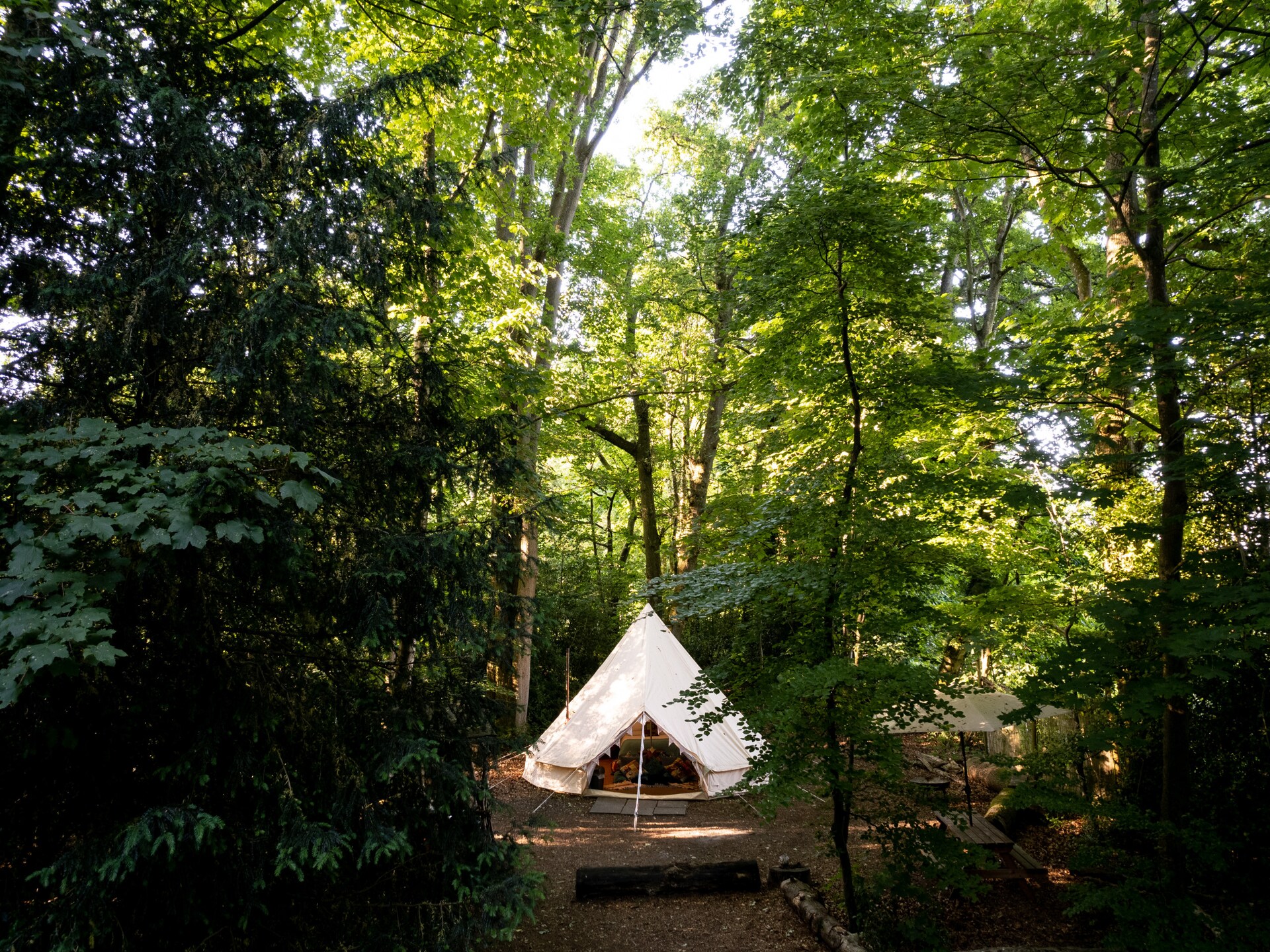 Magische Bell Tent in privébos bij Newbury – 6 personen - foto 23