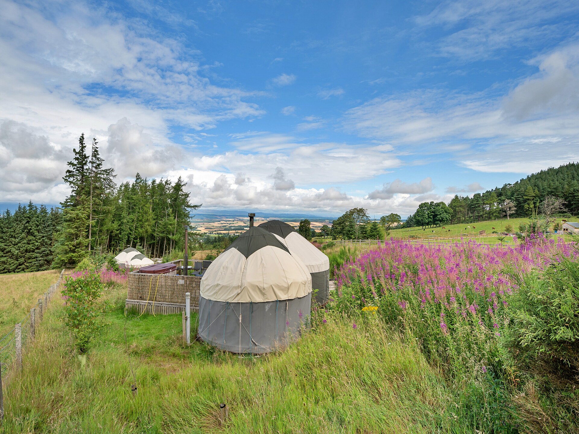 Romantische yurt met hot tub en uitzicht op Gleneagles - foto 3