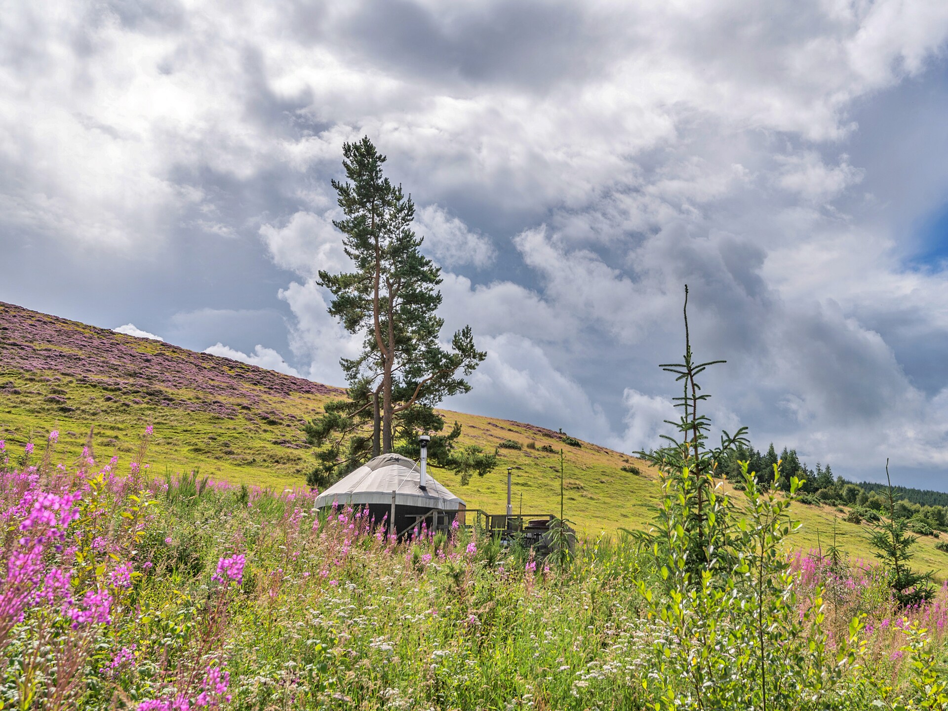 Romantische yurt met hot tub en uitzicht op Gleneagles - foto 19
