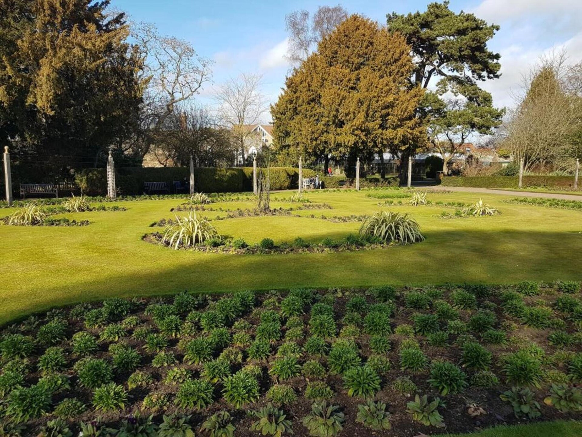Vrijstaande boslodge voor 4 personen nabij Bury St Edmunds met tuin - foto 24
