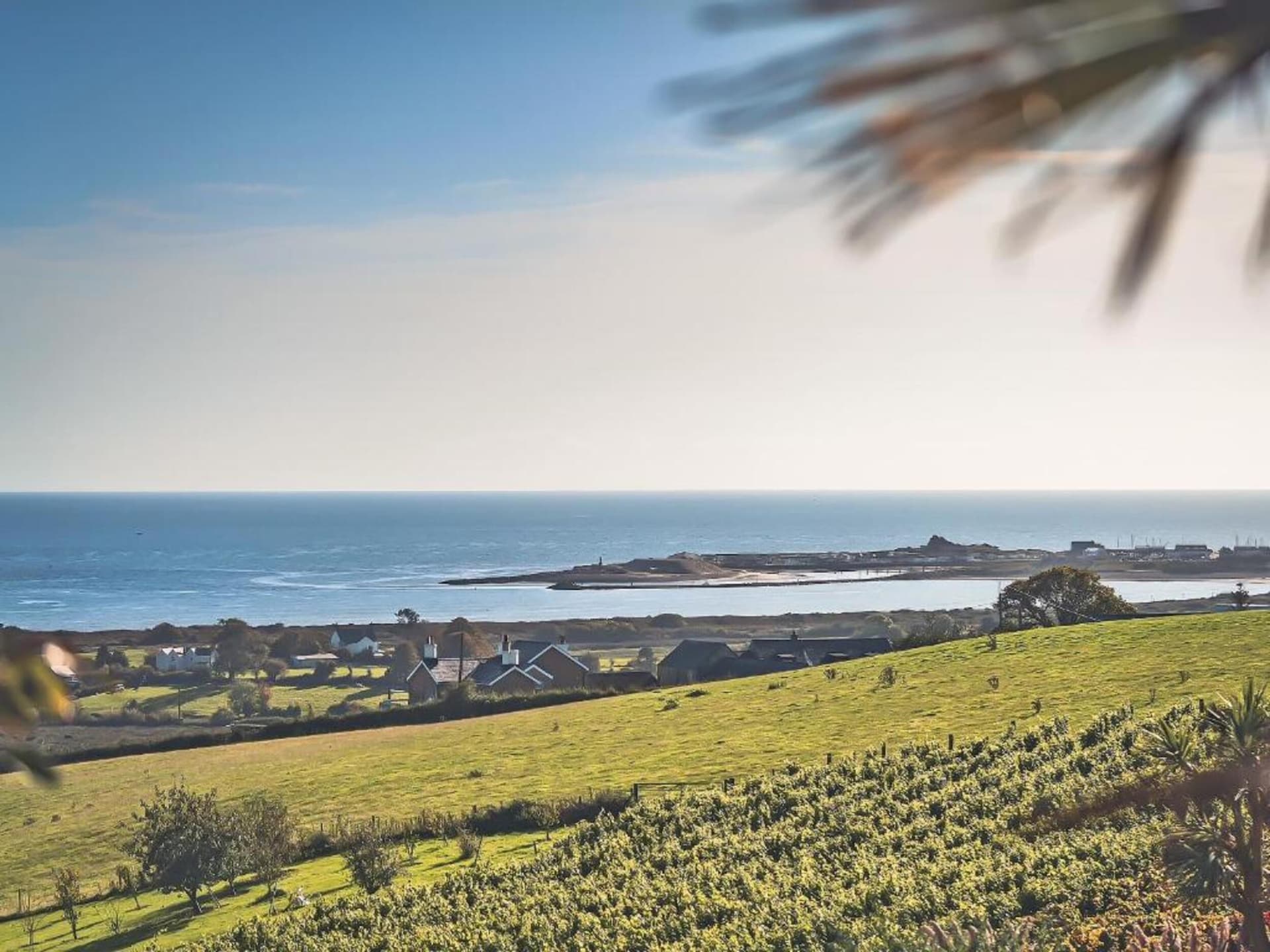 Golfbaan op 0 m: Luxe chalet 'Susanna' in Pwllheli - foto 26