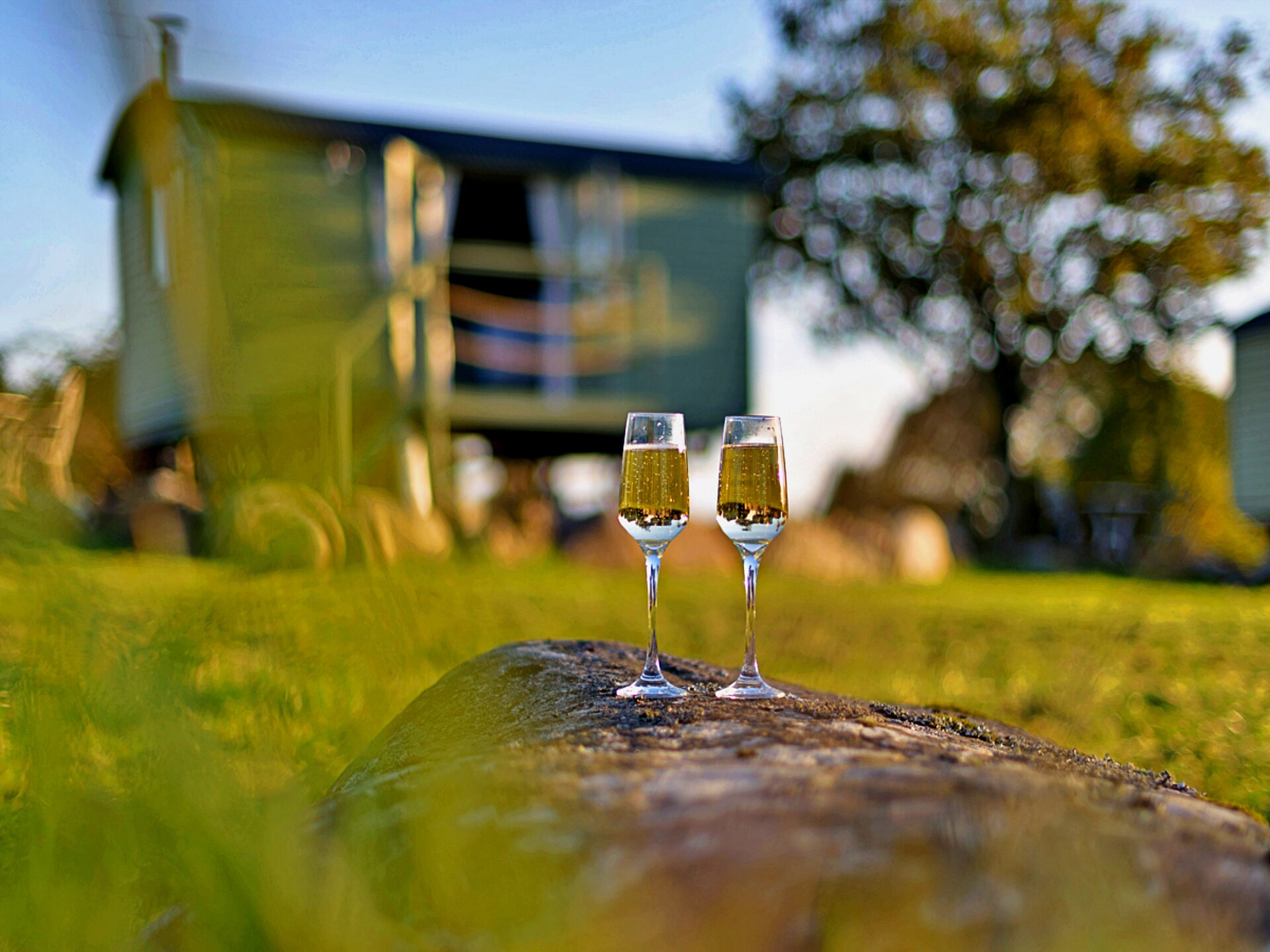 2-persoons chalet in Pwllheli direct aan de golfbaan - foto 20