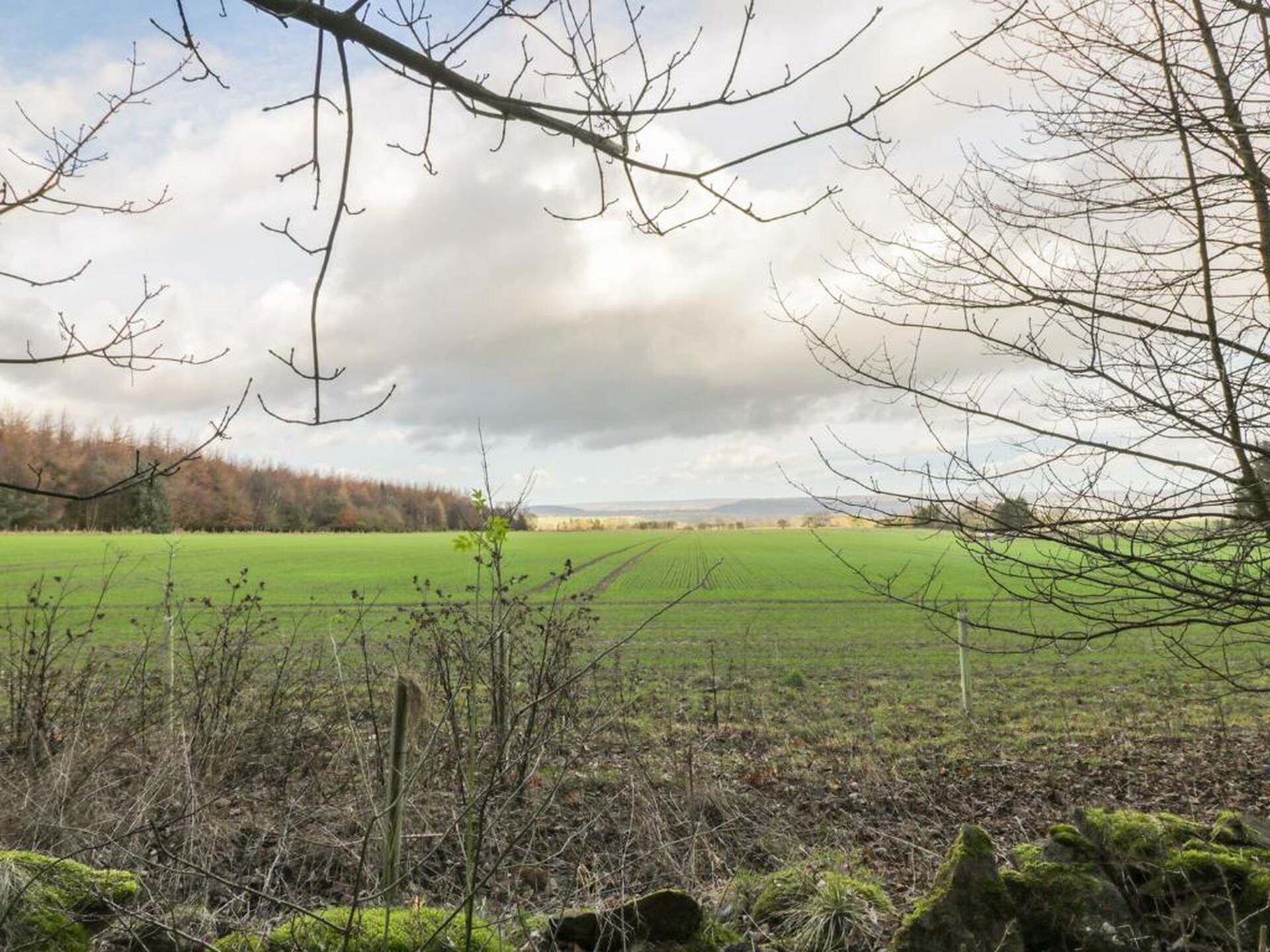 Luxe landhuis Swaledale Hall Cottage in Thirsk voor 6 personen - foto 30