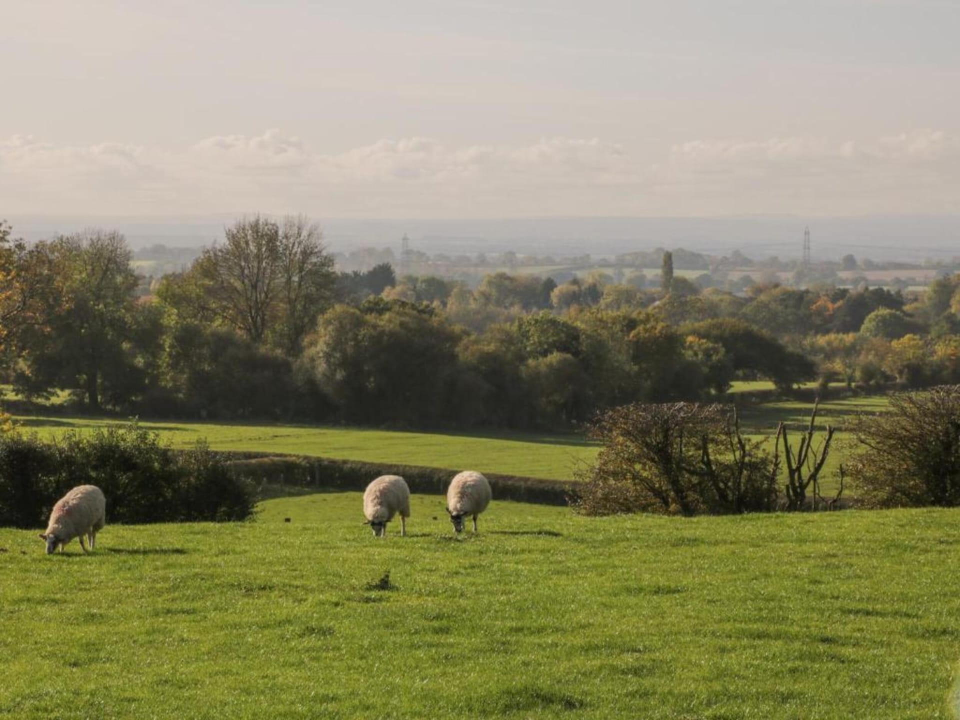 Luxe landhuis Ryedale Hall Cottage in het pittoreske Thirsk - foto 19