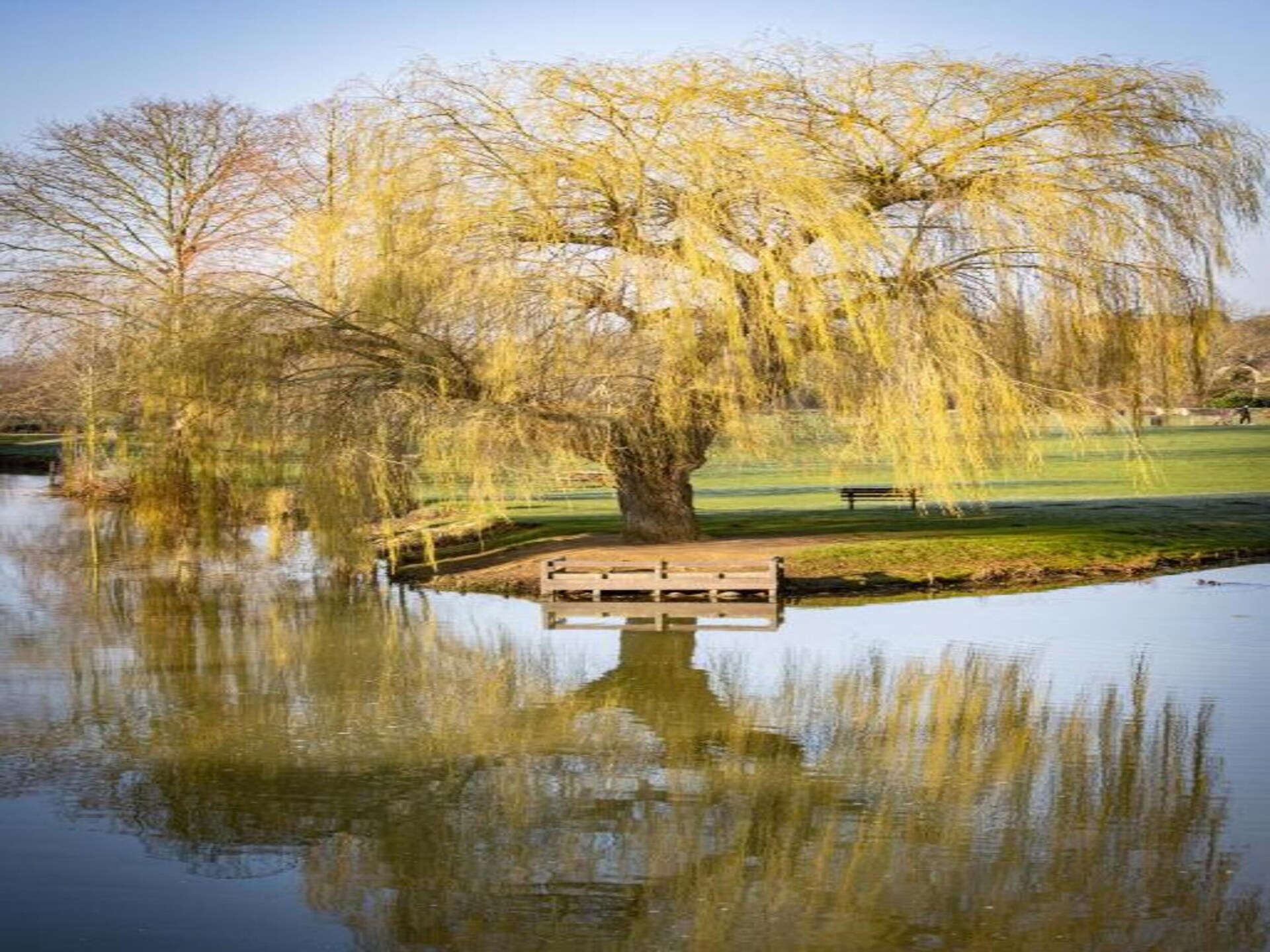 Knus vrijstaand huisje voor 2 aan de golfbaan bij Stamford - foto 25