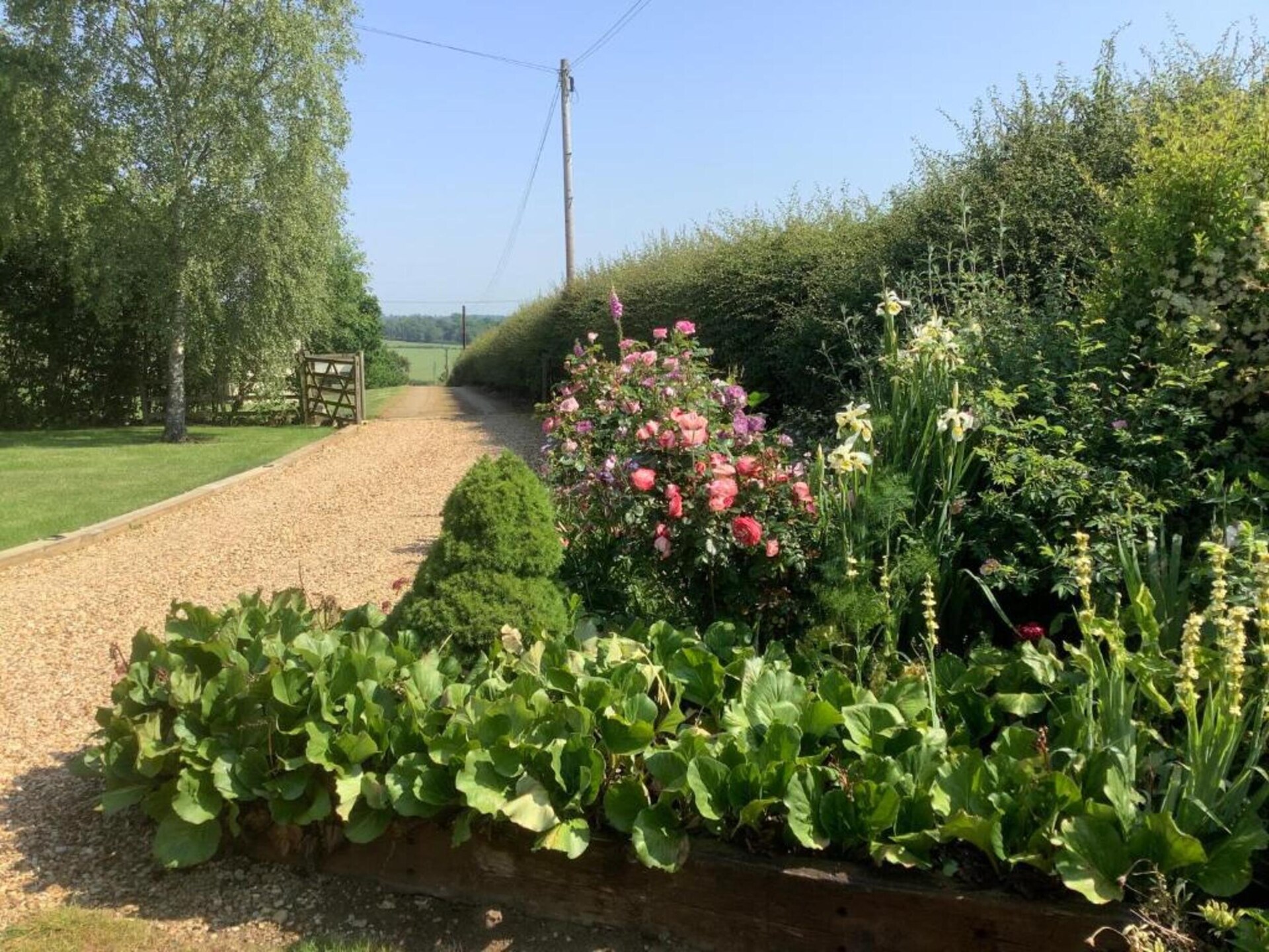Knus vrijstaand huisje voor 2 aan de golfbaan bij Stamford - foto 30