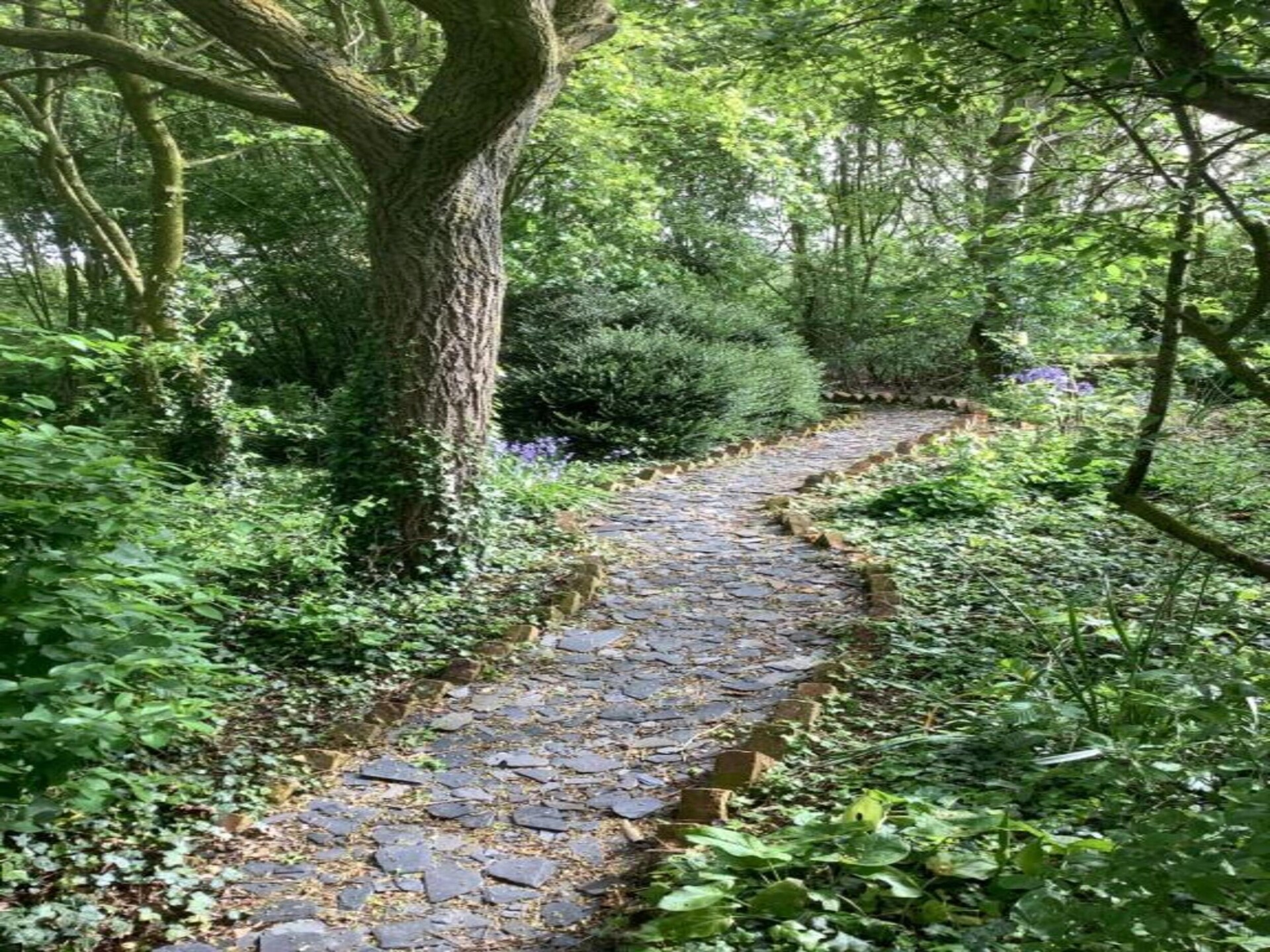 Knus vrijstaand huisje voor 2 aan de golfbaan bij Stamford - foto 31