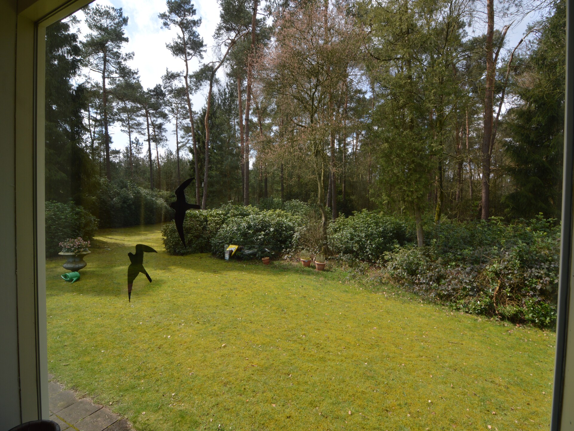 Ruischende Dennen: Vrijstaand vakantiehuis in bosrijke omgeving bij golfbaan - foto 27