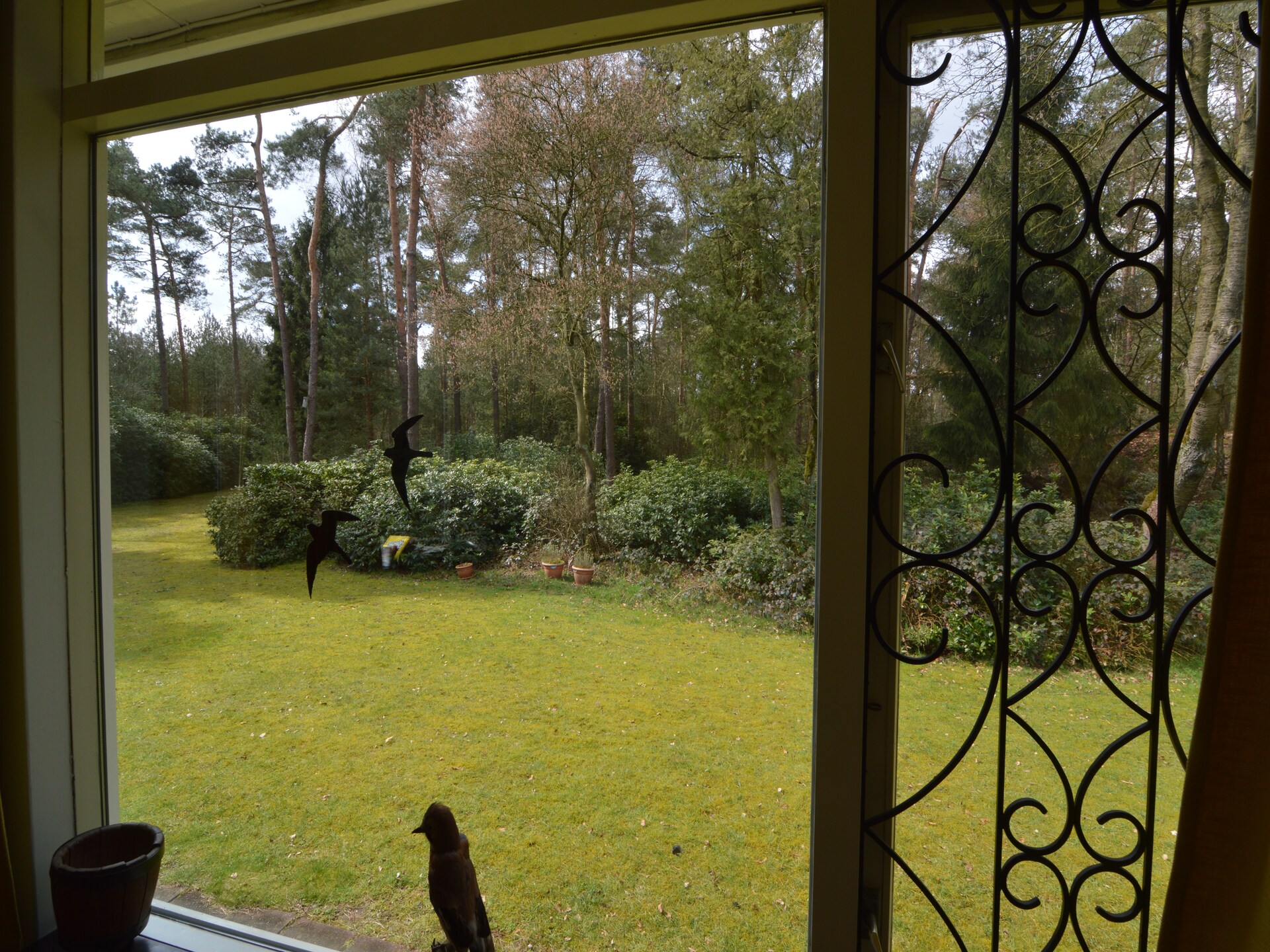 Ruischende Dennen: Vrijstaand vakantiehuis in bosrijke omgeving bij golfbaan - foto 28