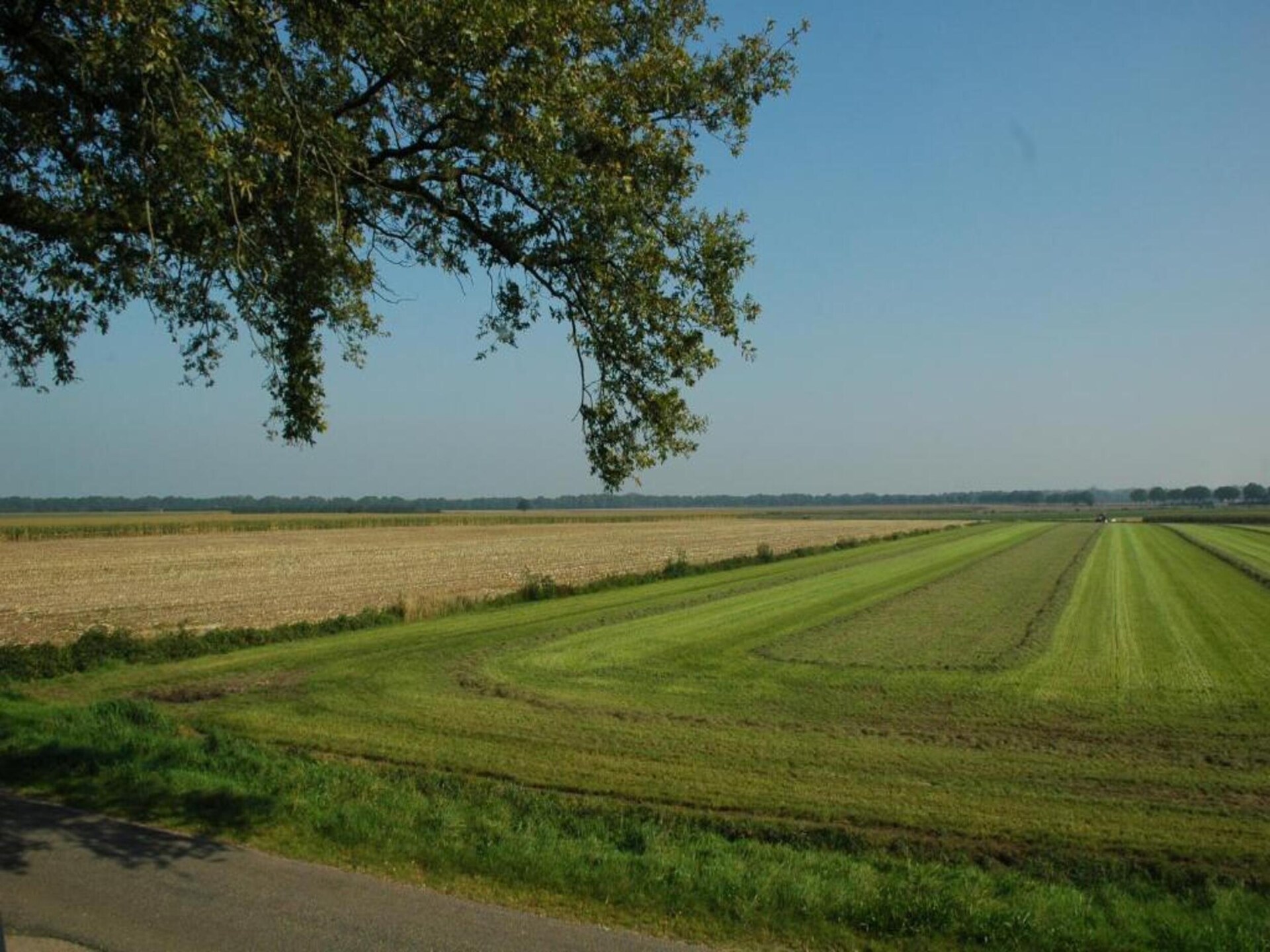 Ruischende Dennen: Vrijstaand vakantiehuis in bosrijke omgeving bij golfbaan - foto 34