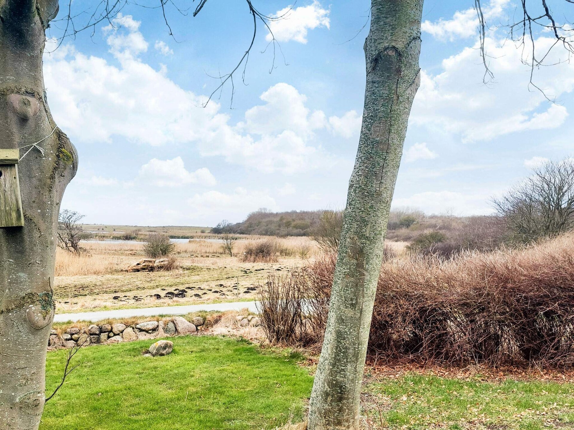 Ruim vakantiehuis voor 10 personen bij Bagenkop, vlakbij het strand - foto 10