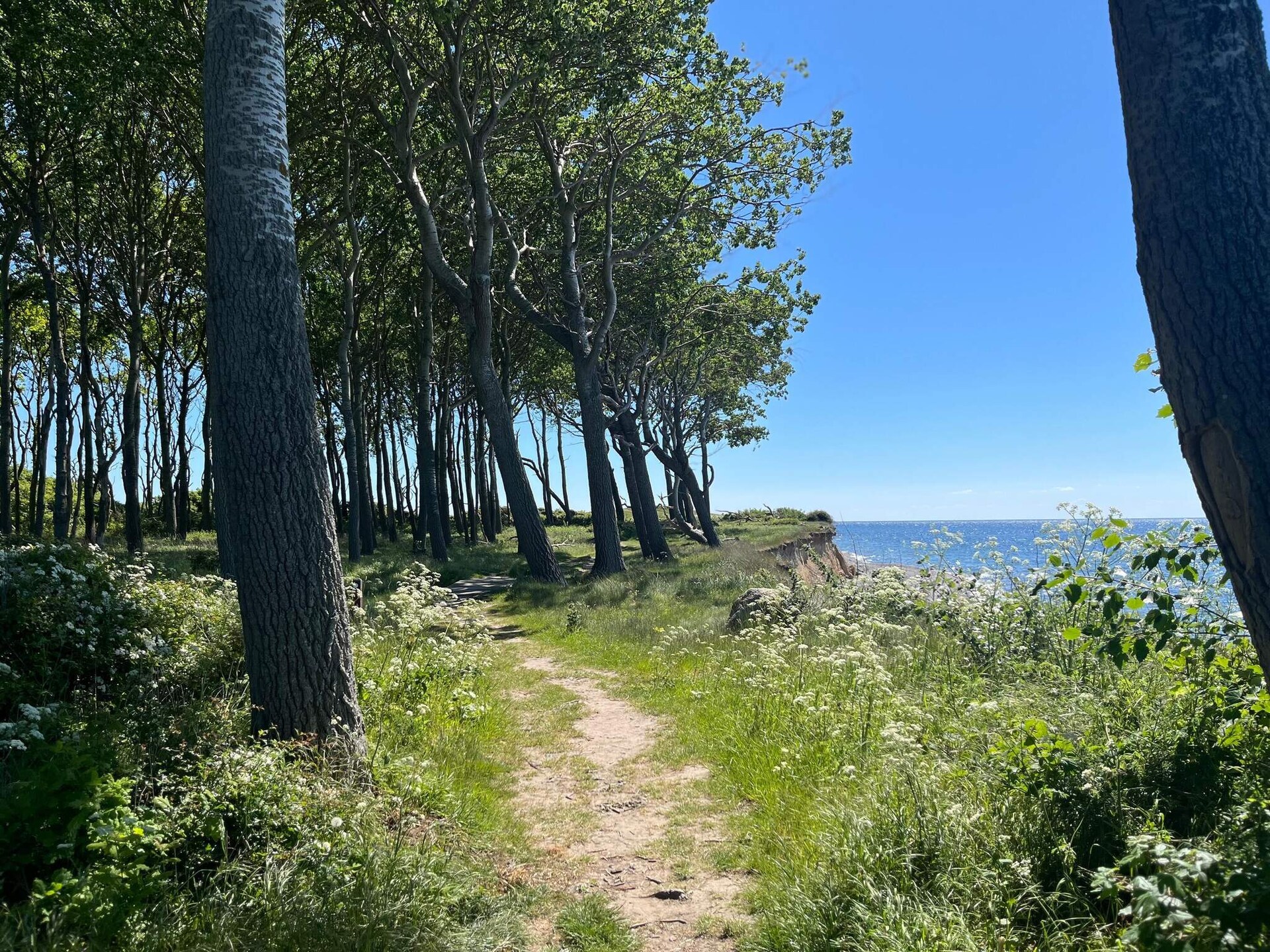 Ruim vakantiehuis voor 10 personen bij Bagenkop, vlakbij het strand - foto 17